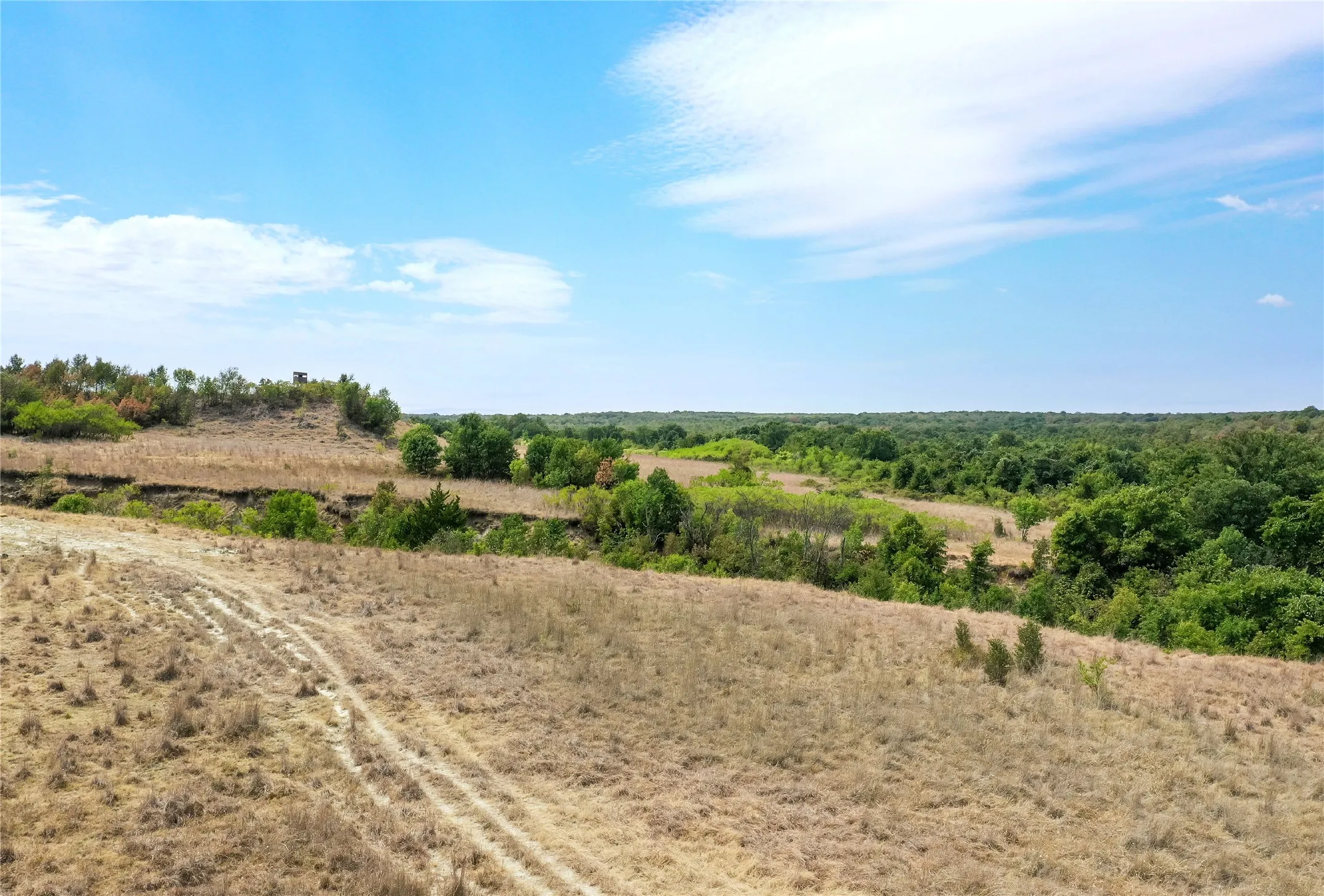 Ranch For Sale in Jack County , TBD Two Bush Road Road, Perrin, Texas 76486, 0, 0, Garage spaces, 0 Sqft, built in 0, mls#21383364, Real Estate Agent in Perrin, Homes For Sale in Jack county, Homes For Sale in Perrin, Realtor in Perrin Texas, Real Estate Brokerage Independent Realty Texas, Luminita Cordes Realtor