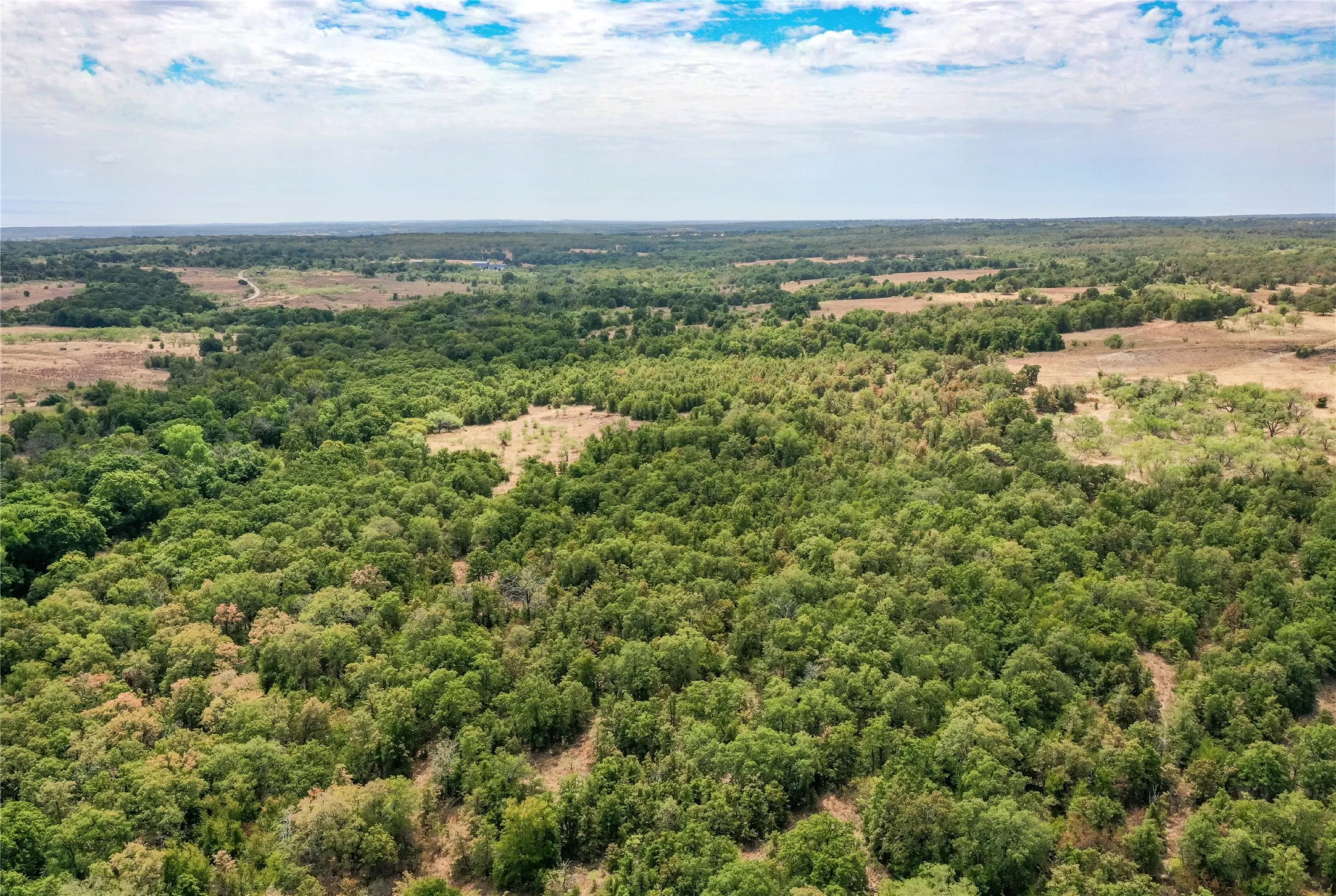 Ranch For Sale in Jack County , TBD Two Bush Road Road, Perrin, Texas 76486, 0, 0, Garage spaces, 0 Sqft, built in 0, mls#21383364, Real Estate Agent in Perrin, Homes For Sale in Jack county, Homes For Sale in Perrin, Realtor in Perrin Texas, Real Estate Brokerage Independent Realty Texas, Luminita Cordes Realtor