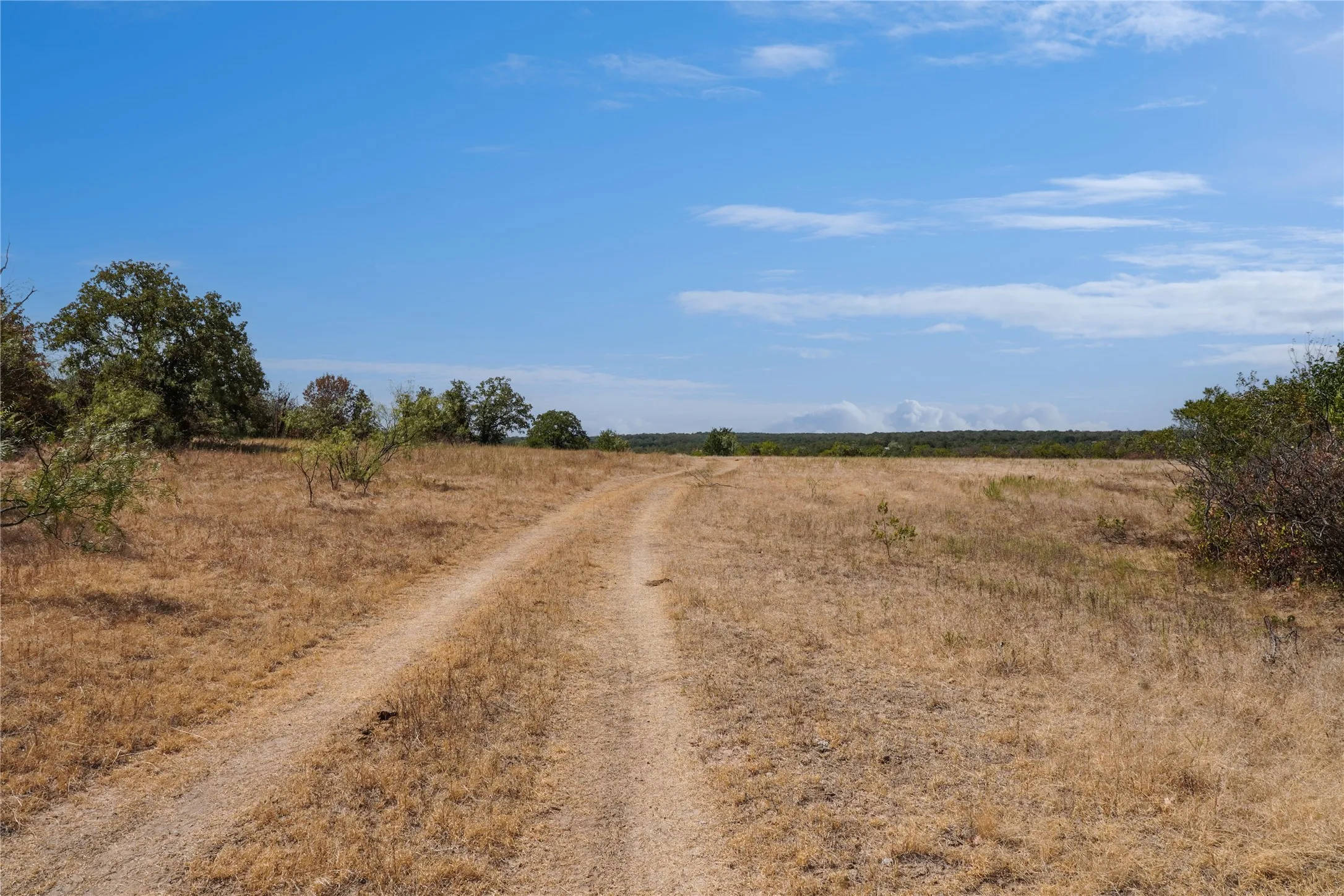 Ranch For Sale in Jack County , TBD Two Bush Road Road, Perrin, Texas 76486, 0, 0, Garage spaces, 0 Sqft, built in 0, mls#21383364, Real Estate Agent in Perrin, Homes For Sale in Jack county, Homes For Sale in Perrin, Realtor in Perrin Texas, Real Estate Brokerage Independent Realty Texas, Luminita Cordes Realtor
