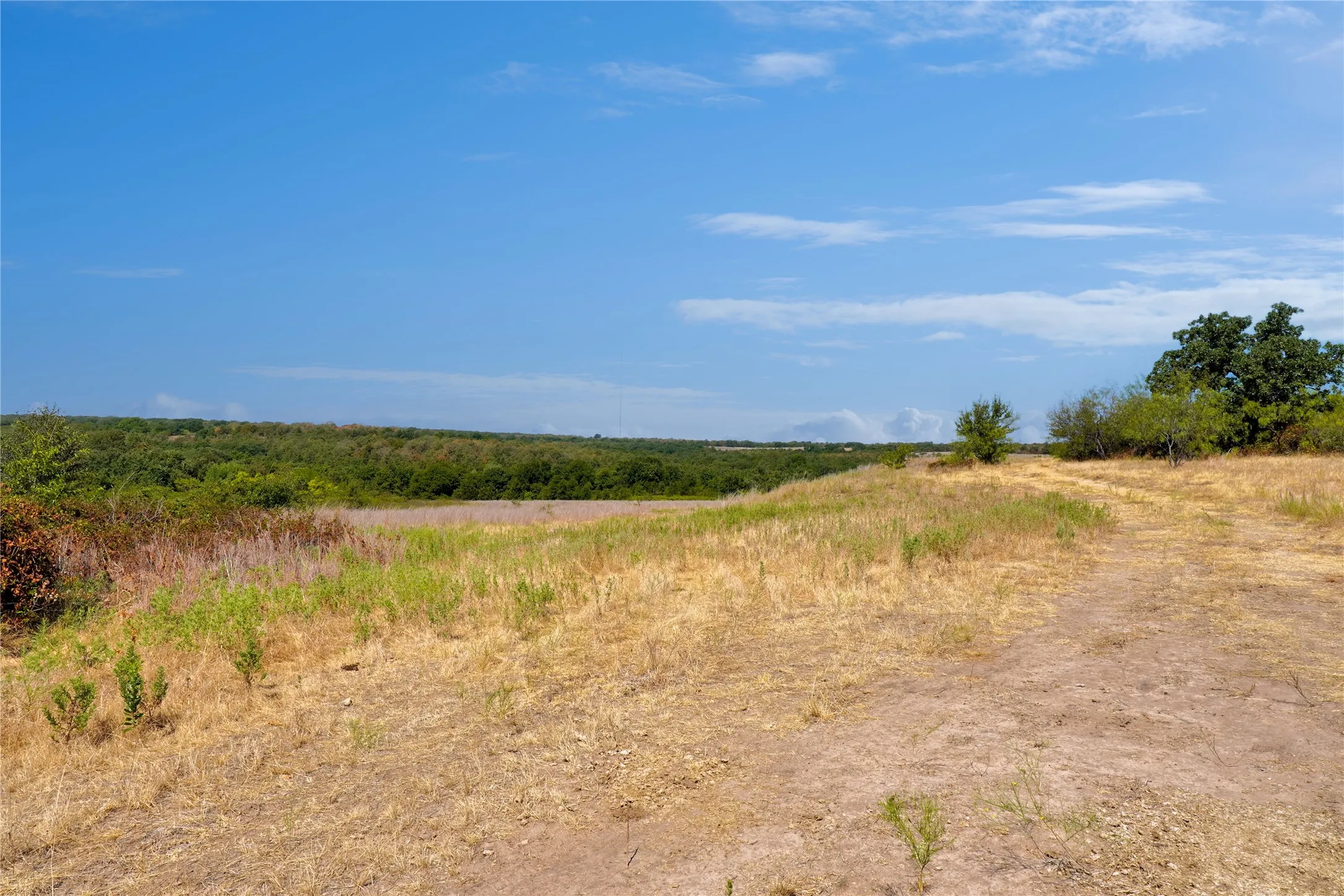 Ranch For Sale in Jack County , TBD Two Bush Road Road, Perrin, Texas 76486, 0, 0, Garage spaces, 0 Sqft, built in 0, mls#21383364, Real Estate Agent in Perrin, Homes For Sale in Jack county, Homes For Sale in Perrin, Realtor in Perrin Texas, Real Estate Brokerage Independent Realty Texas, Luminita Cordes Realtor