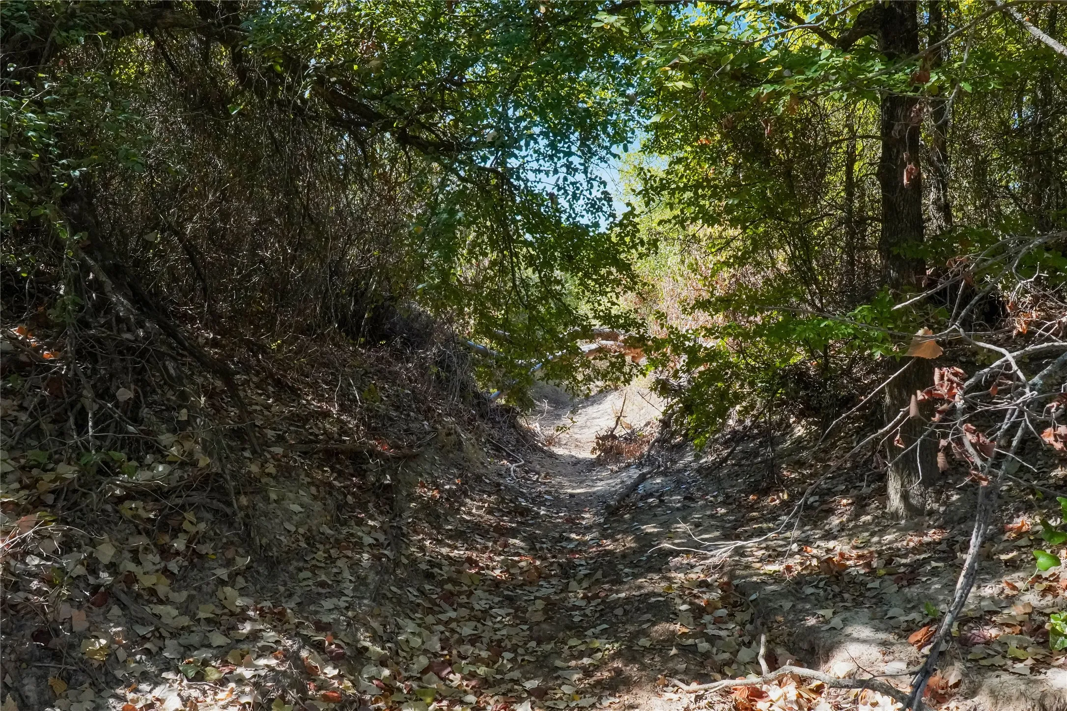 Ranch For Sale in Jack County , TBD Two Bush Road Road, Perrin, Texas 76486, 0, 0, Garage spaces, 0 Sqft, built in 0, mls#21383364, Real Estate Agent in Perrin, Homes For Sale in Jack county, Homes For Sale in Perrin, Realtor in Perrin Texas, Real Estate Brokerage Independent Realty Texas, Luminita Cordes Realtor