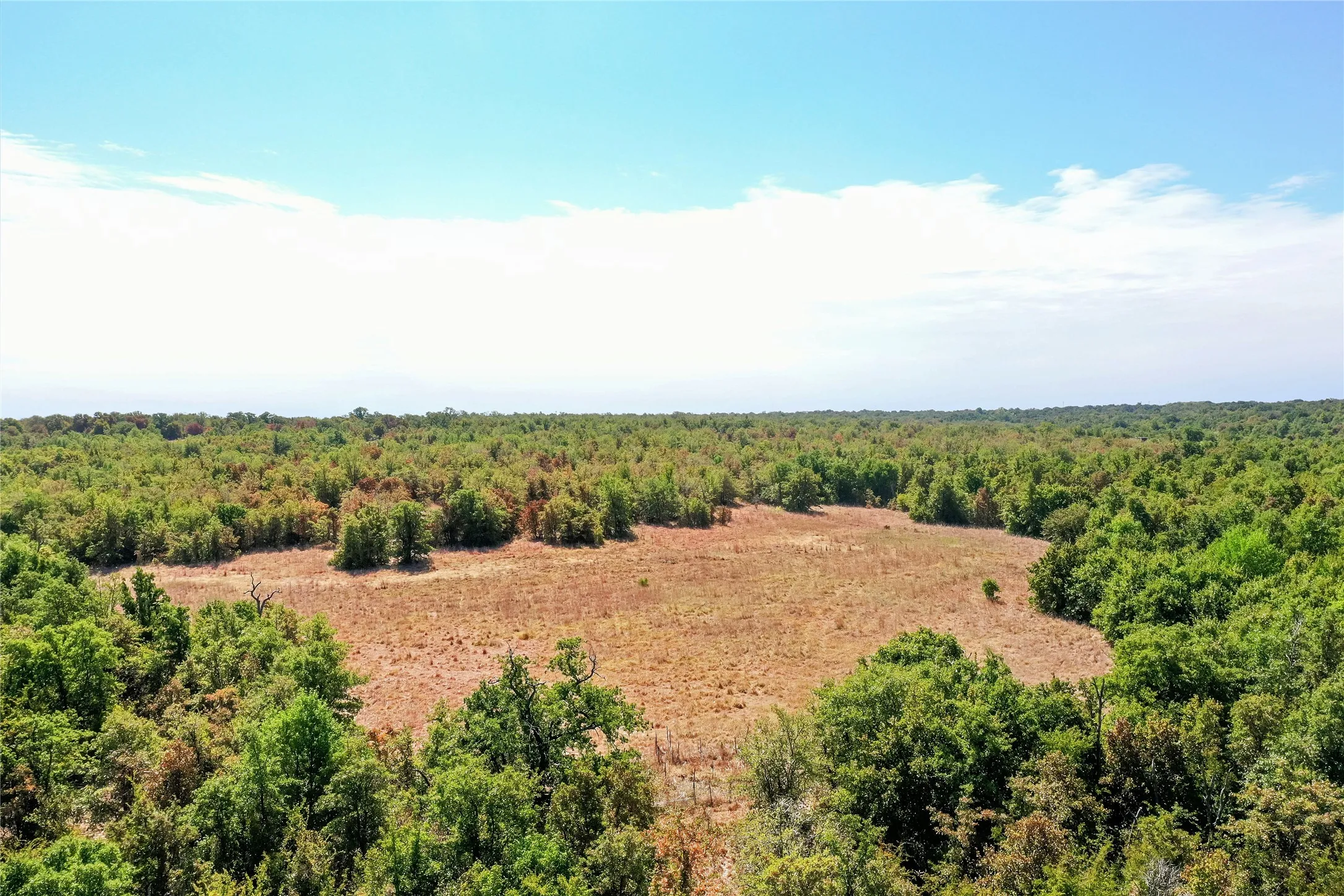 Ranch For Sale in Jack County , TBD Two Bush Road Road, Perrin, Texas 76486, 0, 0, Garage spaces, 0 Sqft, built in 0, mls#21383364, Real Estate Agent in Perrin, Homes For Sale in Jack county, Homes For Sale in Perrin, Realtor in Perrin Texas, Real Estate Brokerage Independent Realty Texas, Luminita Cordes Realtor