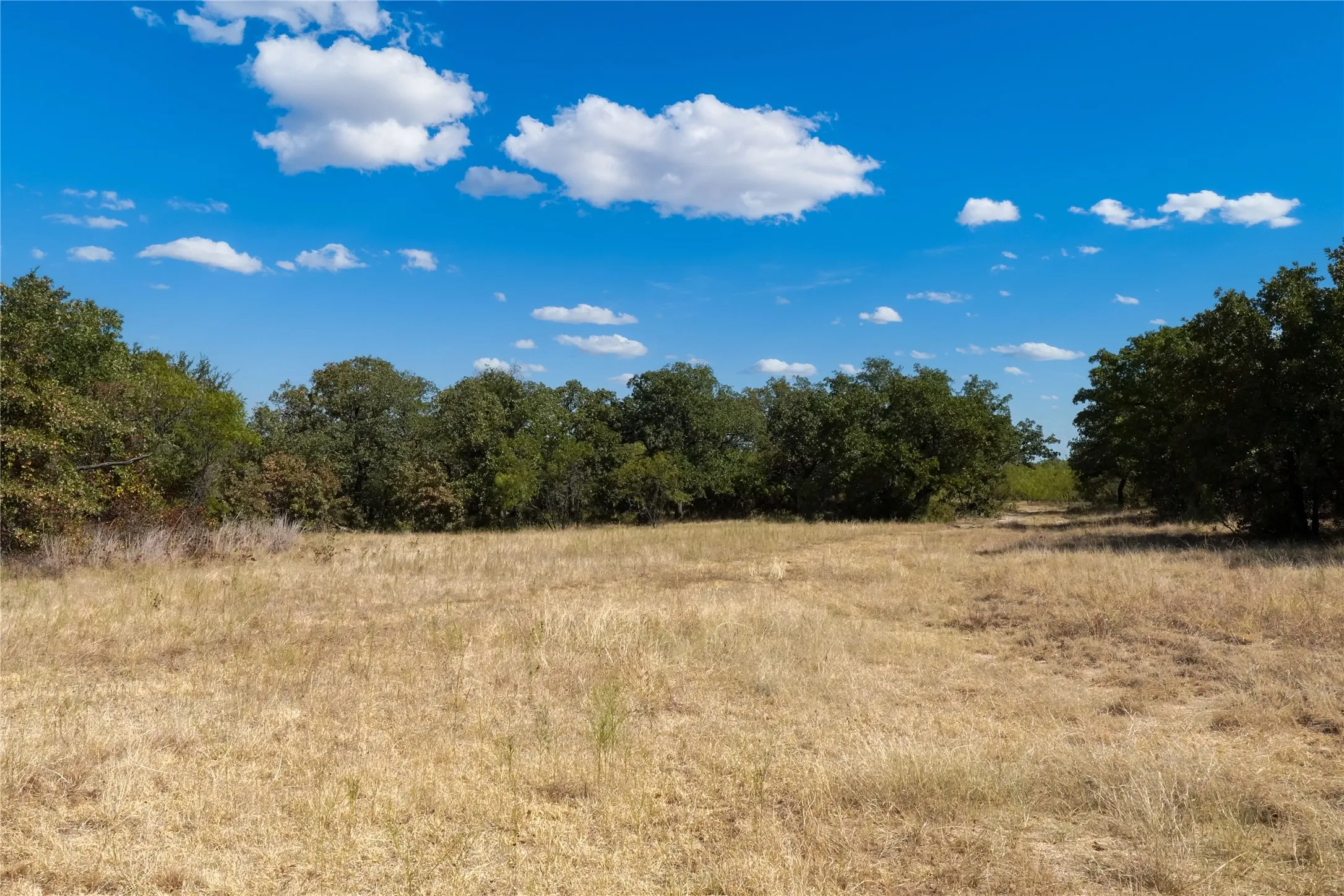 Ranch For Sale in Jack County , TBD Two Bush Road Road, Perrin, Texas 76486, 0, 0, Garage spaces, 0 Sqft, built in 0, mls#21383364, Real Estate Agent in Perrin, Homes For Sale in Jack county, Homes For Sale in Perrin, Realtor in Perrin Texas, Real Estate Brokerage Independent Realty Texas, Luminita Cordes Realtor