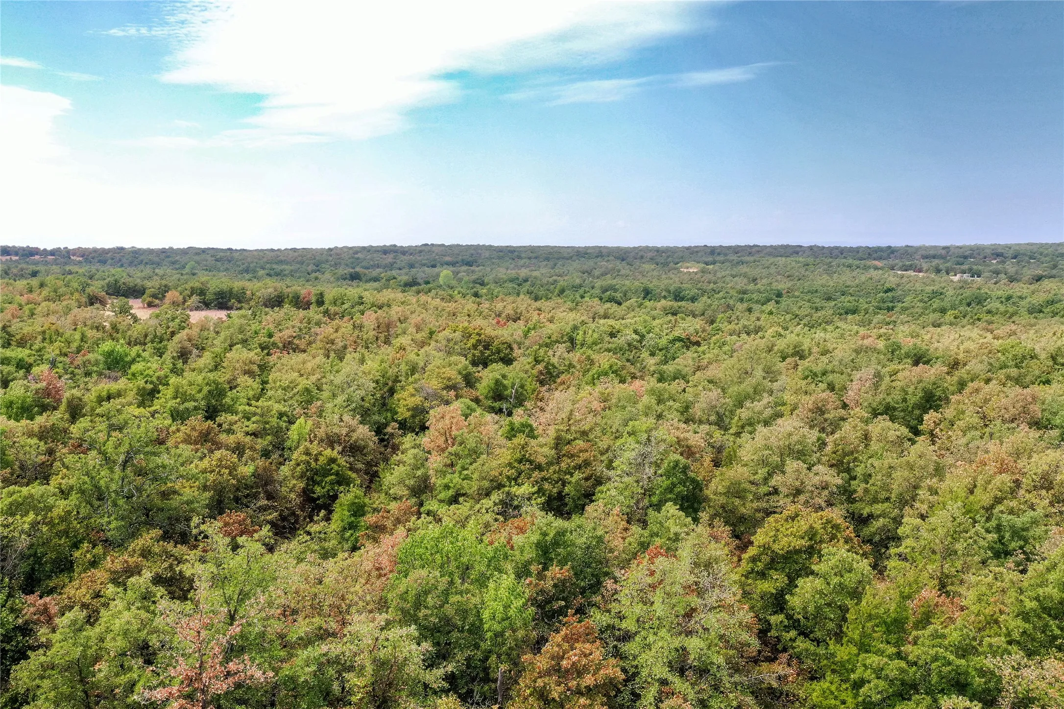 Ranch For Sale in Jack County , TBD Two Bush Road Road, Perrin, Texas 76486, 0, 0, Garage spaces, 0 Sqft, built in 0, mls#21383364, Real Estate Agent in Perrin, Homes For Sale in Jack county, Homes For Sale in Perrin, Realtor in Perrin Texas, Real Estate Brokerage Independent Realty Texas, Luminita Cordes Realtor