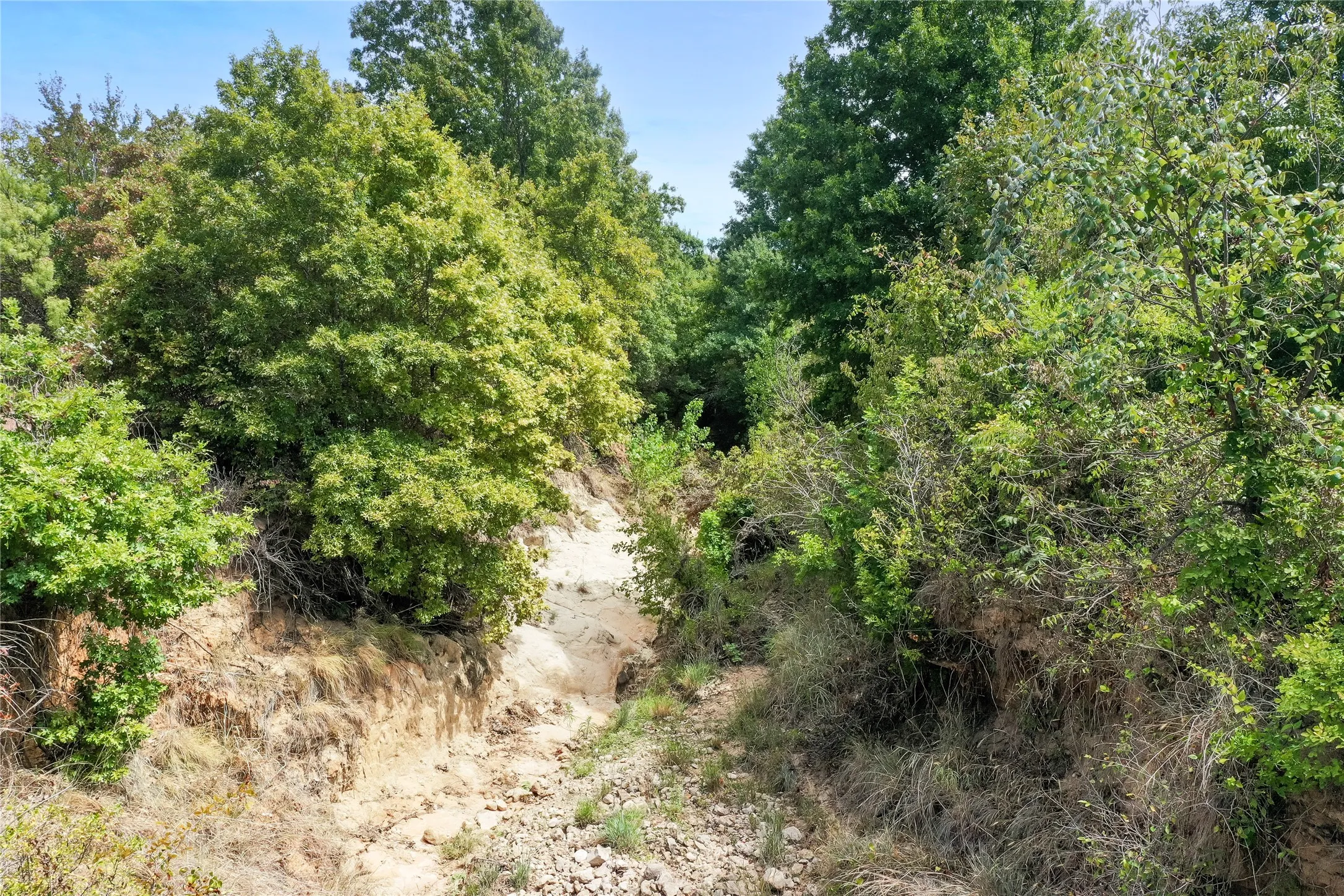 Ranch For Sale in Jack County , TBD Two Bush Road Road, Perrin, Texas 76486, 0, 0, Garage spaces, 0 Sqft, built in 0, mls#21383364, Real Estate Agent in Perrin, Homes For Sale in Jack county, Homes For Sale in Perrin, Realtor in Perrin Texas, Real Estate Brokerage Independent Realty Texas, Luminita Cordes Realtor
