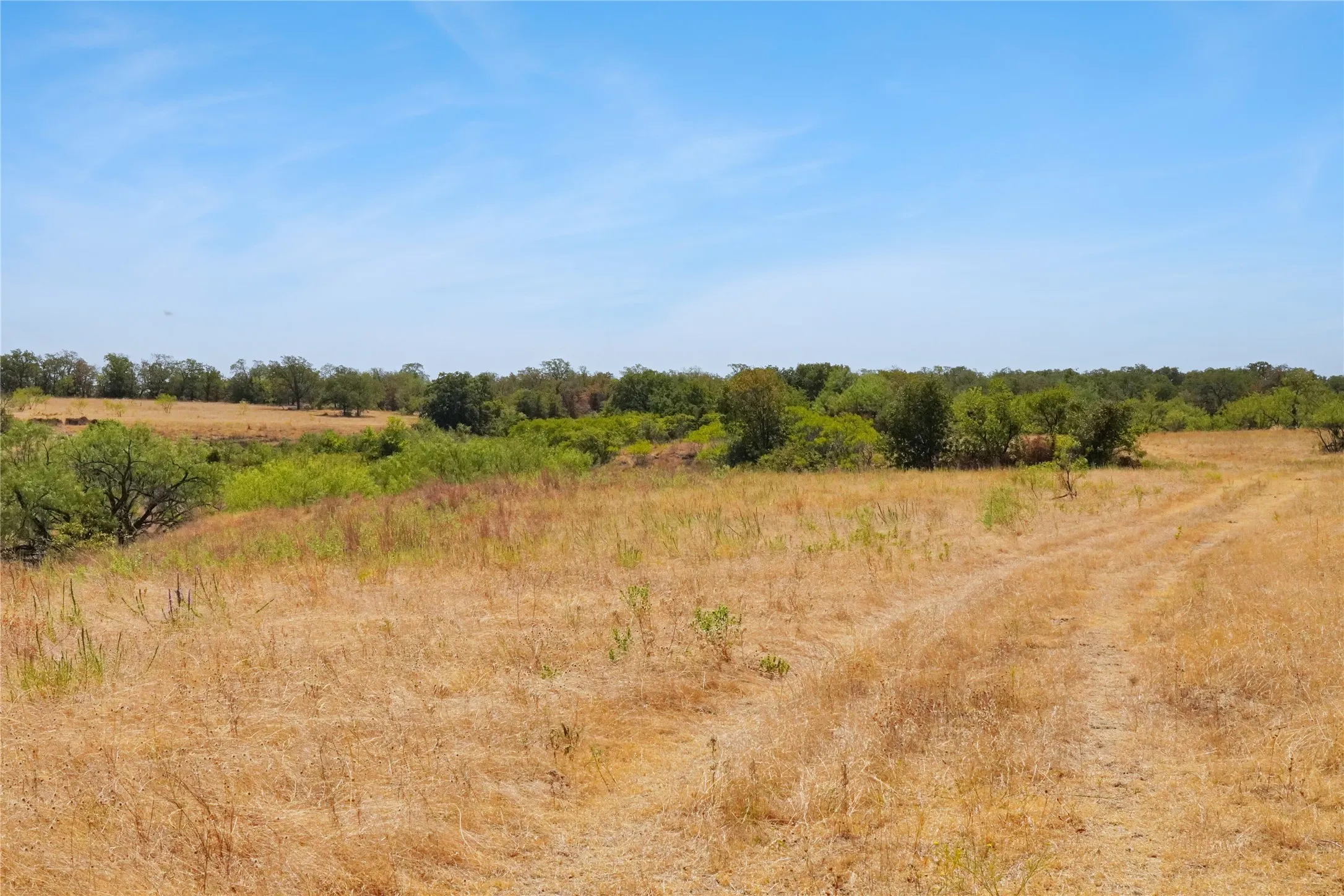 Ranch For Sale in Jack County , TBD Two Bush Road Road, Perrin, Texas 76486, 0, 0, Garage spaces, 0 Sqft, built in 0, mls#21383364, Real Estate Agent in Perrin, Homes For Sale in Jack county, Homes For Sale in Perrin, Realtor in Perrin Texas, Real Estate Brokerage Independent Realty Texas, Luminita Cordes Realtor
