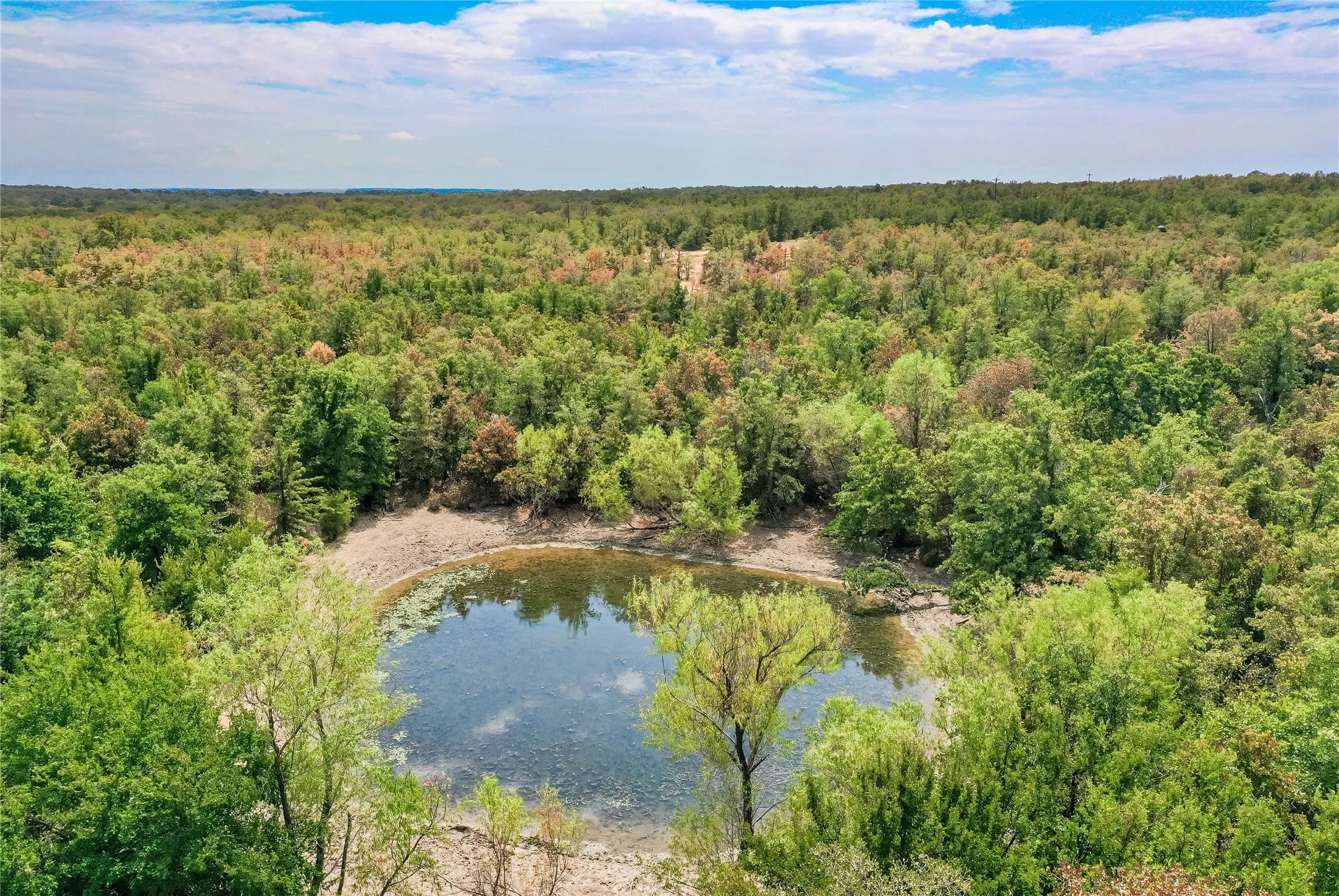 Ranch For Sale in Jack County , TBD Two Bush Road Road, Perrin, Texas 76486, 0, 0, Garage spaces, 0 Sqft, built in 0, mls#21383364, Real Estate Agent in Perrin, Homes For Sale in Jack county, Homes For Sale in Perrin, Realtor in Perrin Texas, Real Estate Brokerage Independent Realty Texas, Luminita Cordes Realtor