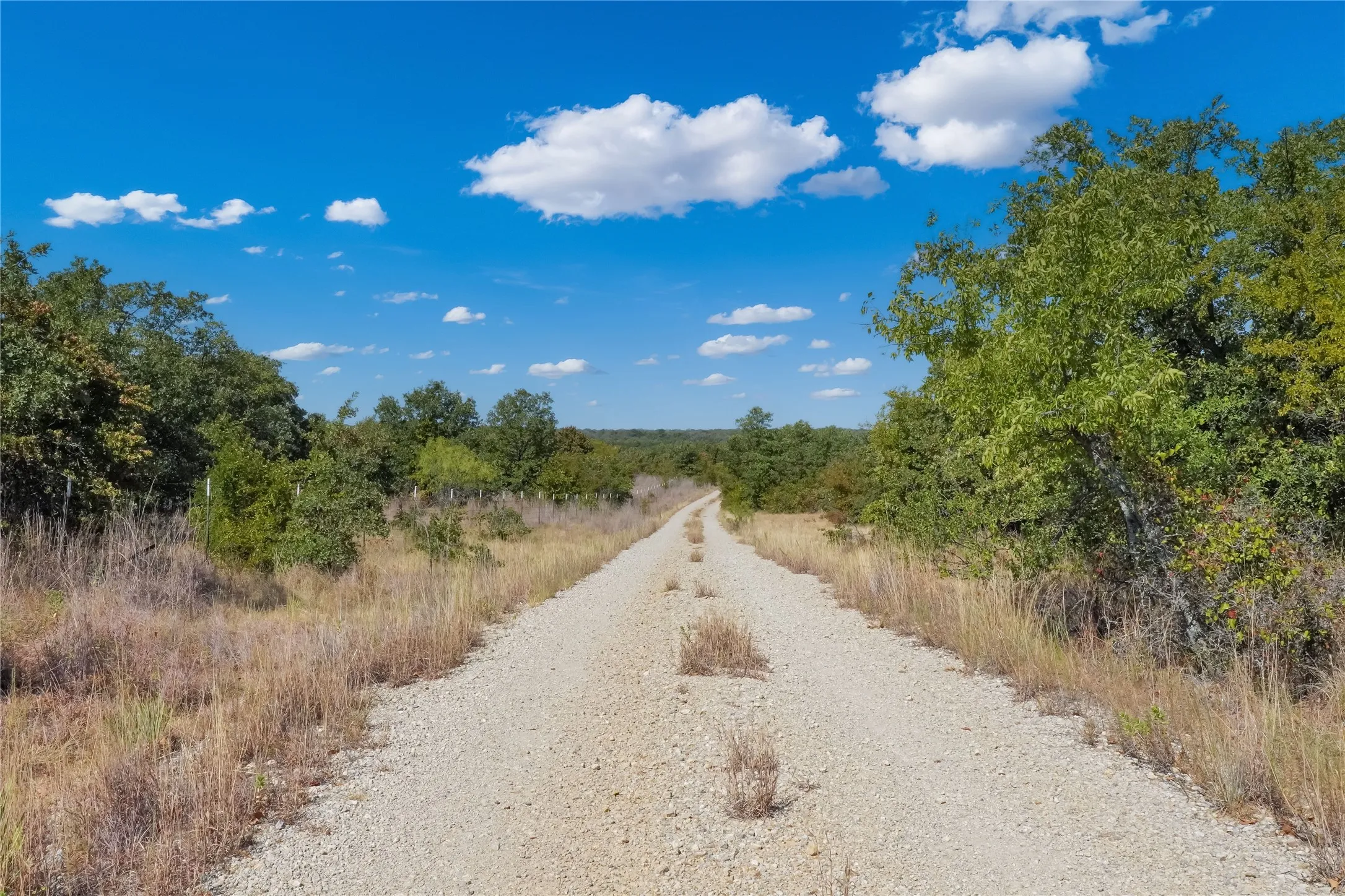 Ranch For Sale in Jack County , TBD Two Bush Road Road, Perrin, Texas 76486, 0, 0, Garage spaces, 0 Sqft, built in 0, mls#21383364, Real Estate Agent in Perrin, Homes For Sale in Jack county, Homes For Sale in Perrin, Realtor in Perrin Texas, Real Estate Brokerage Independent Realty Texas, Luminita Cordes Realtor