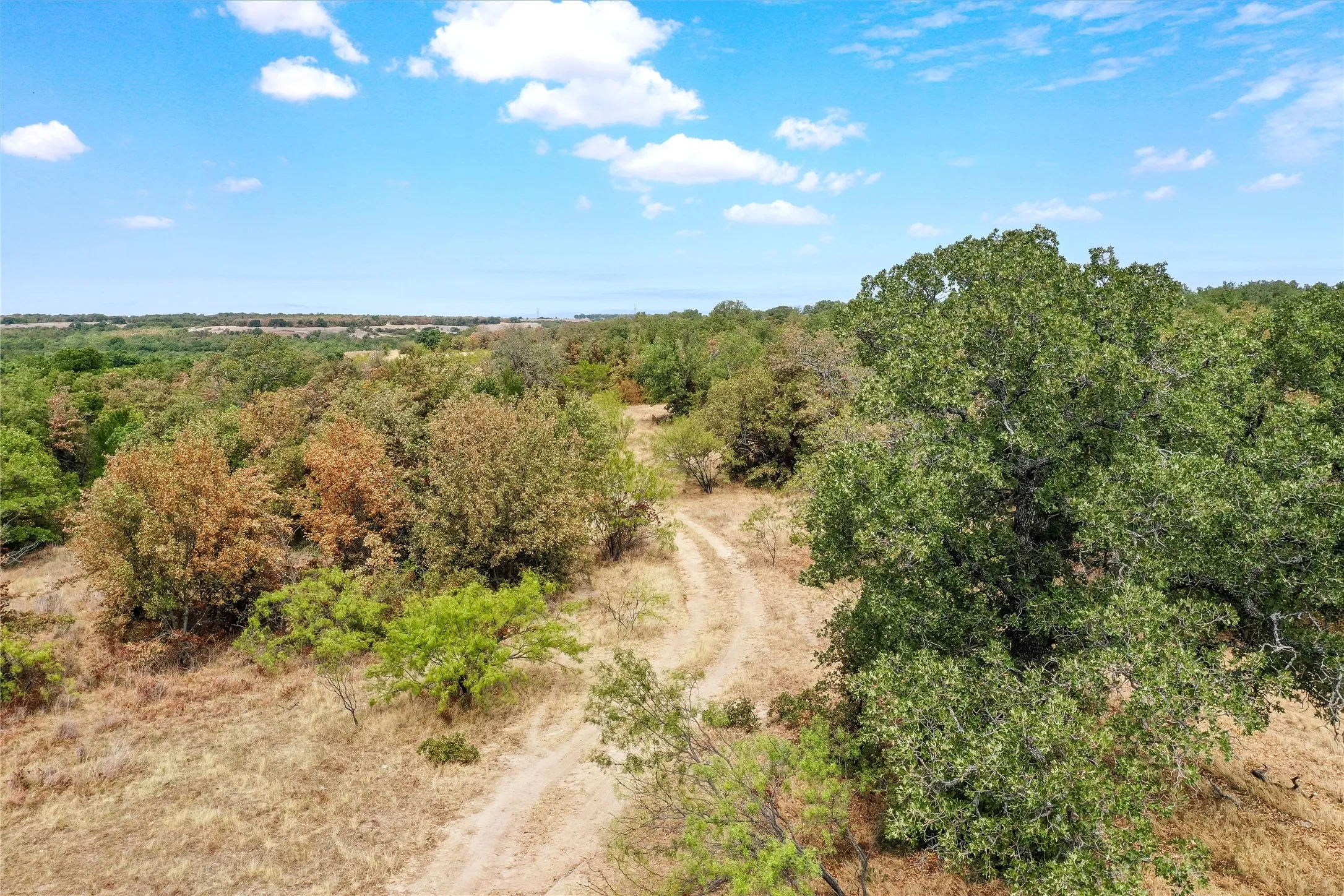 Ranch For Sale in Jack County , TBD Two Bush Road Road, Perrin, Texas 76486, 0, 0, Garage spaces, 0 Sqft, built in 0, mls#21383364, Real Estate Agent in Perrin, Homes For Sale in Jack county, Homes For Sale in Perrin, Realtor in Perrin Texas, Real Estate Brokerage Independent Realty Texas, Luminita Cordes Realtor