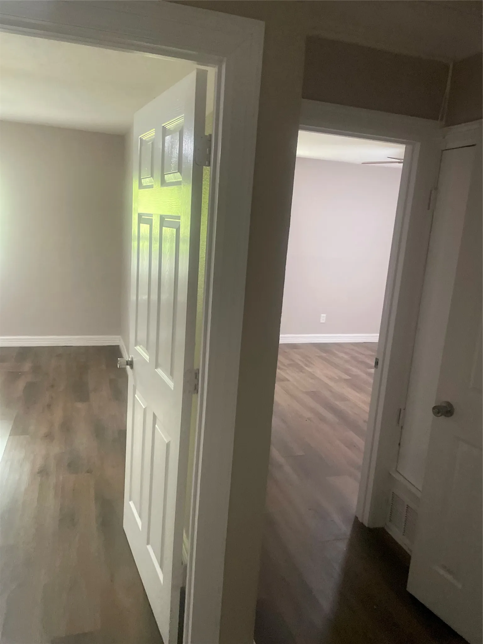 Wood-finish flooring throughout, white paneled doors, and painted interior walls
