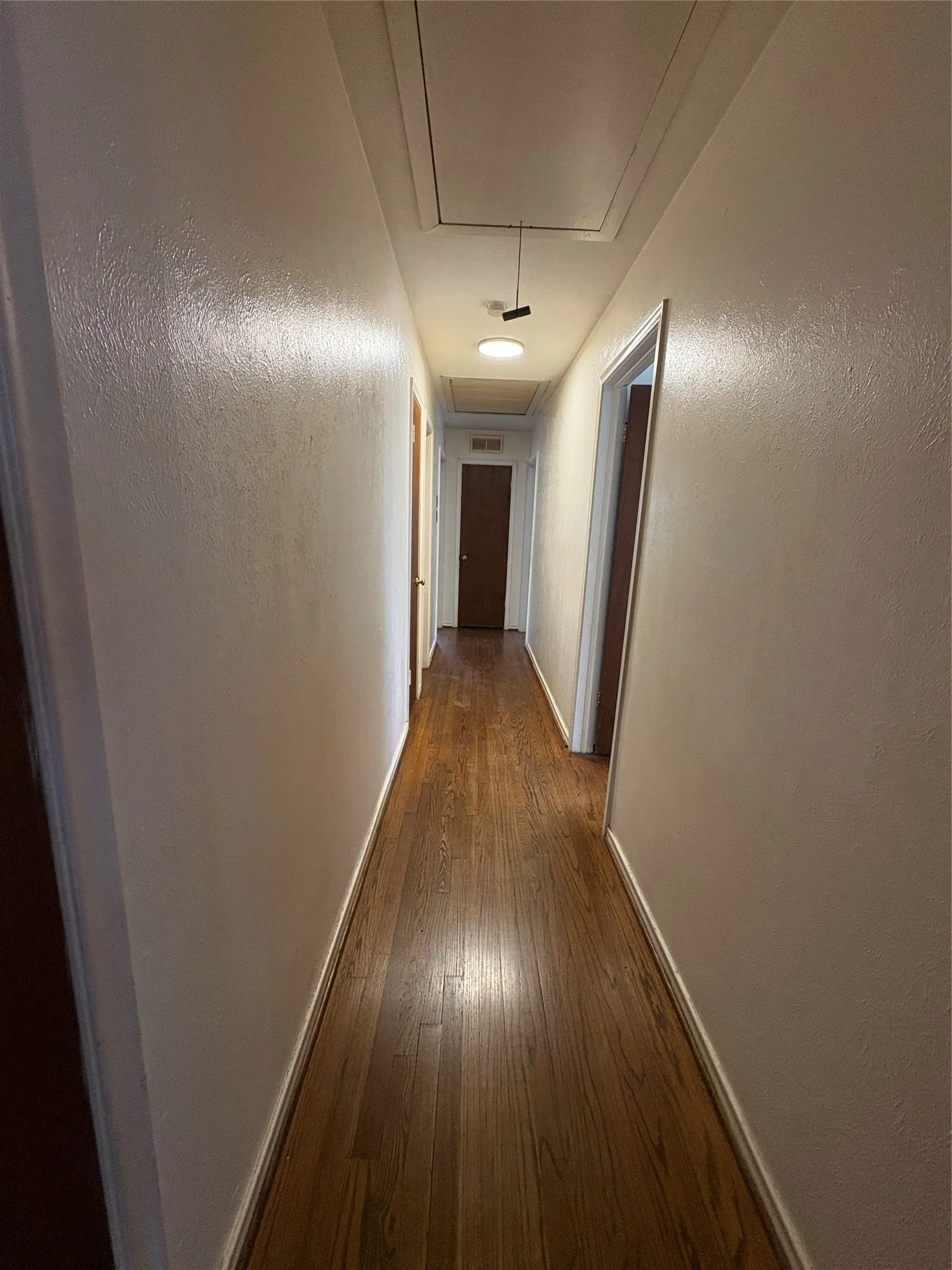 Hardwood flooring throughout, with a flush-mounted ceiling light fixture