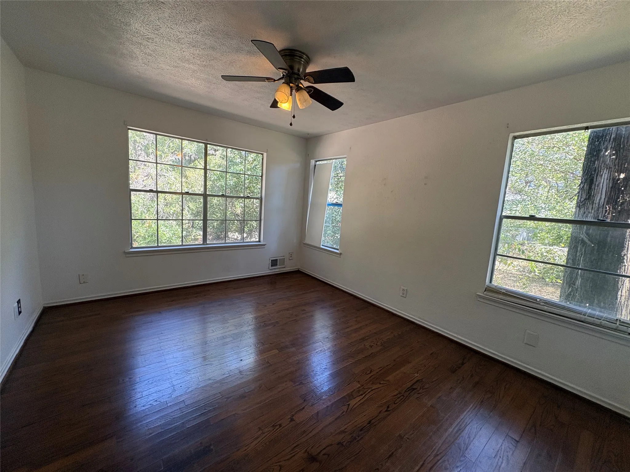 Hardwood flooring, ample natural light, ceiling fan, multiple windows