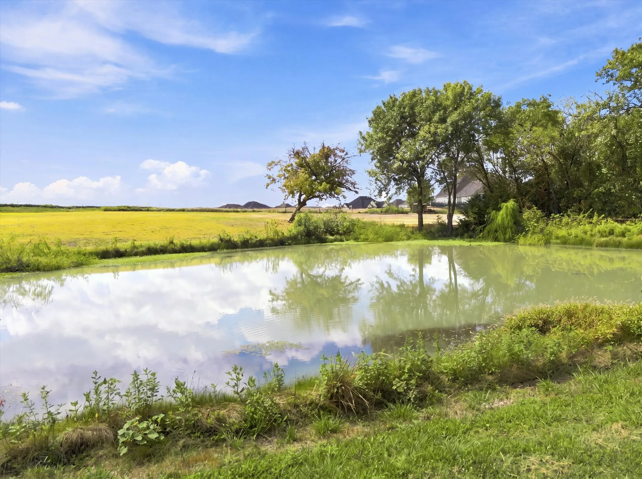 Unimproved Land For Sale in Rockwall County , 291 Cornelius Road, Rockwall, Texas 75087, 0, 0, Garage spaces, 0 Sqft, built in 0, mls#21383534, Real Estate Agent in Rockwall, Homes For Sale in Rockwall county, Homes For Sale in Rockwall, Realtor in Rockwall Texas, Real Estate Brokerage Independent Realty Texas, Luminita Cordes Realtor