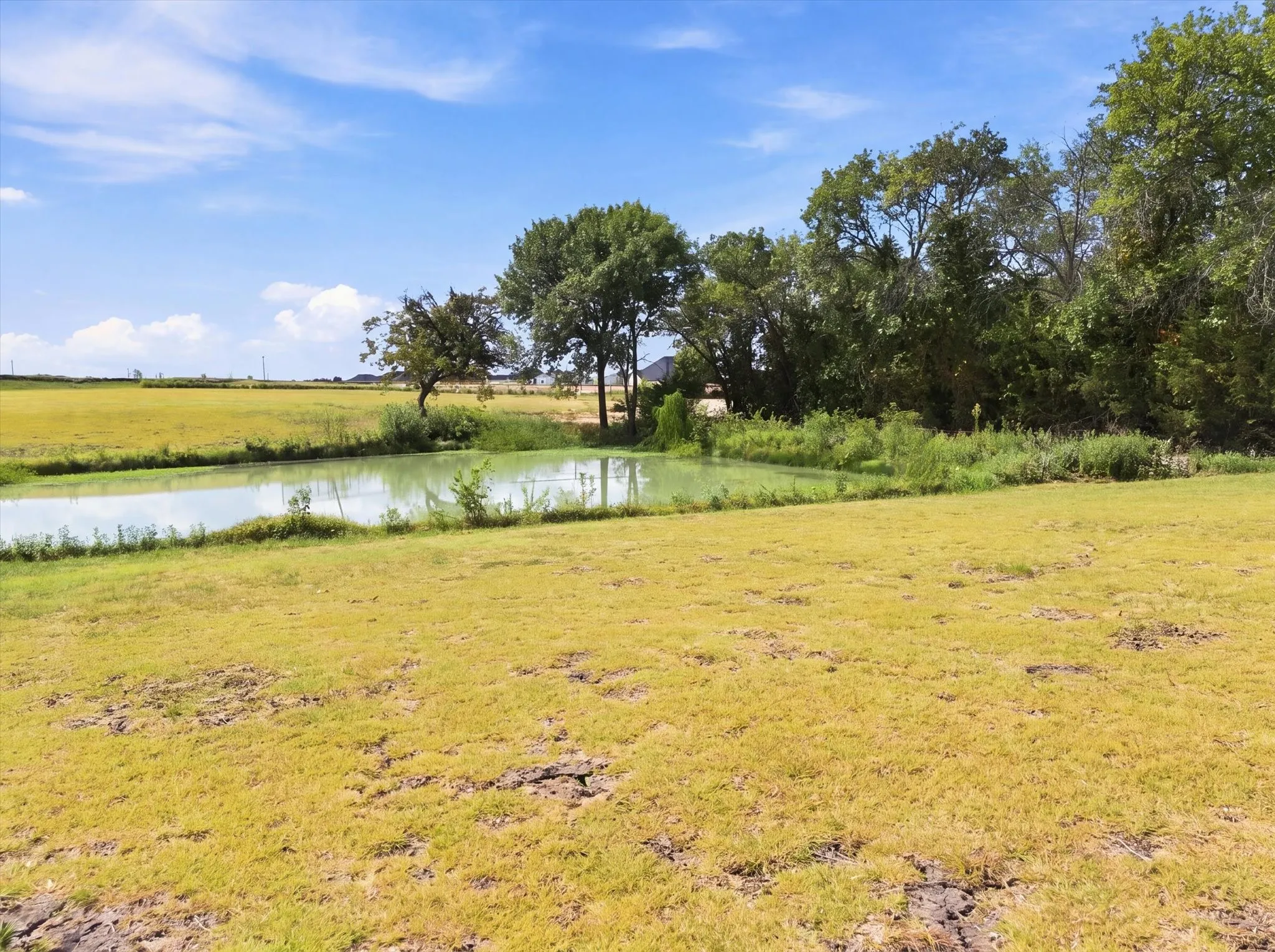 Unimproved Land For Sale in Rockwall County , 291 Cornelius Road, Rockwall, Texas 75087, 0, 0, Garage spaces, 0 Sqft, built in 0, mls#21383534, Real Estate Agent in Rockwall, Homes For Sale in Rockwall county, Homes For Sale in Rockwall, Realtor in Rockwall Texas, Real Estate Brokerage Independent Realty Texas, Luminita Cordes Realtor