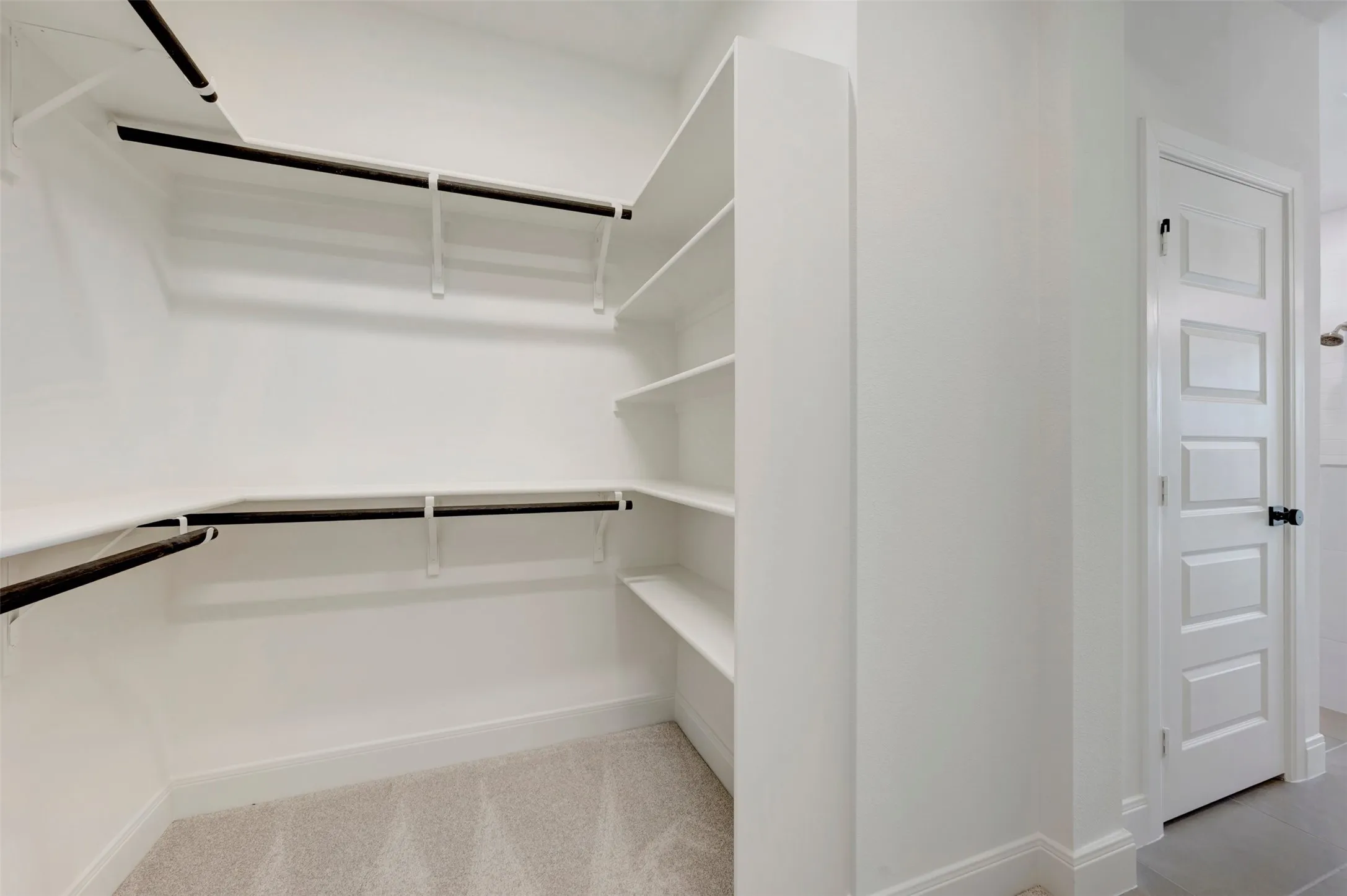Walk-in closet featuring extensive shelving, multiple hanging rods, and light-toned carpeting