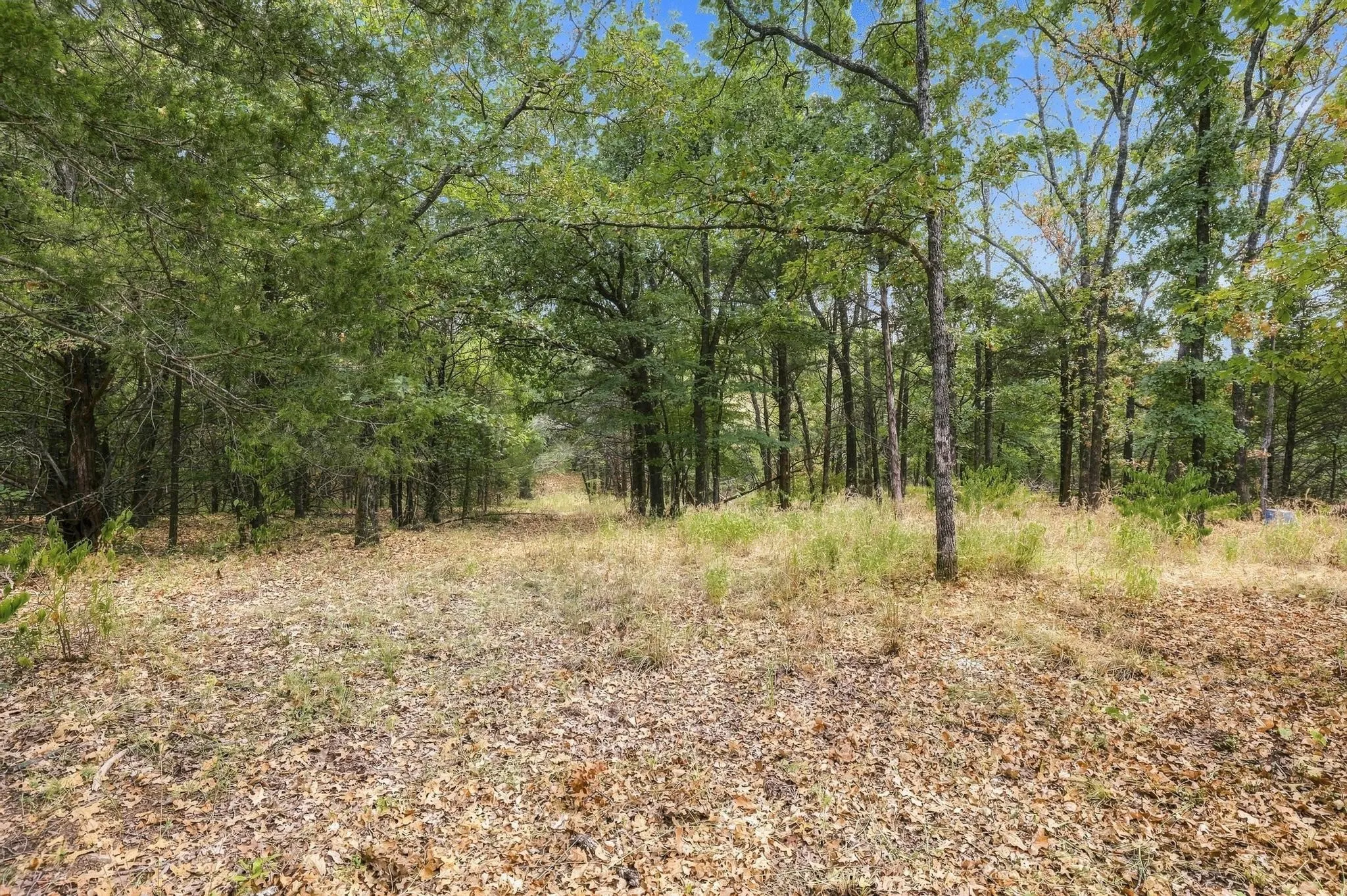 Single Family Residence For Sale in Grayson County , 710 Rio Roxo Road, Gordonville, Texas 76245, 1 Bedroom, 1 Bathroom, Garage spaces, 416 Sqft, built in 2024, mls#21383266, Real Estate Agent in Gordonville, Homes For Sale in Grayson county, Homes For Sale in Gordonville, Realtor in Gordonville Texas, Real Estate Brokerage Independent Realty Texas, Luminita Cordes Realtor