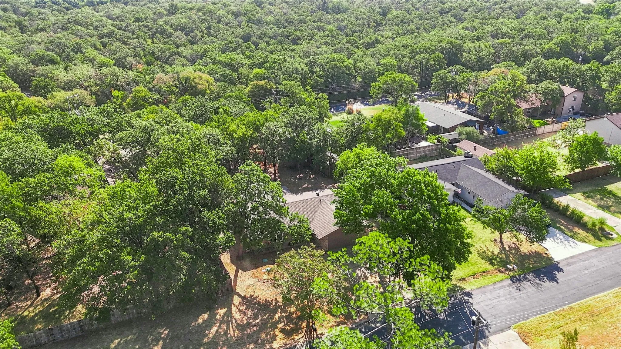 Expansive tree canopy surrounding the property