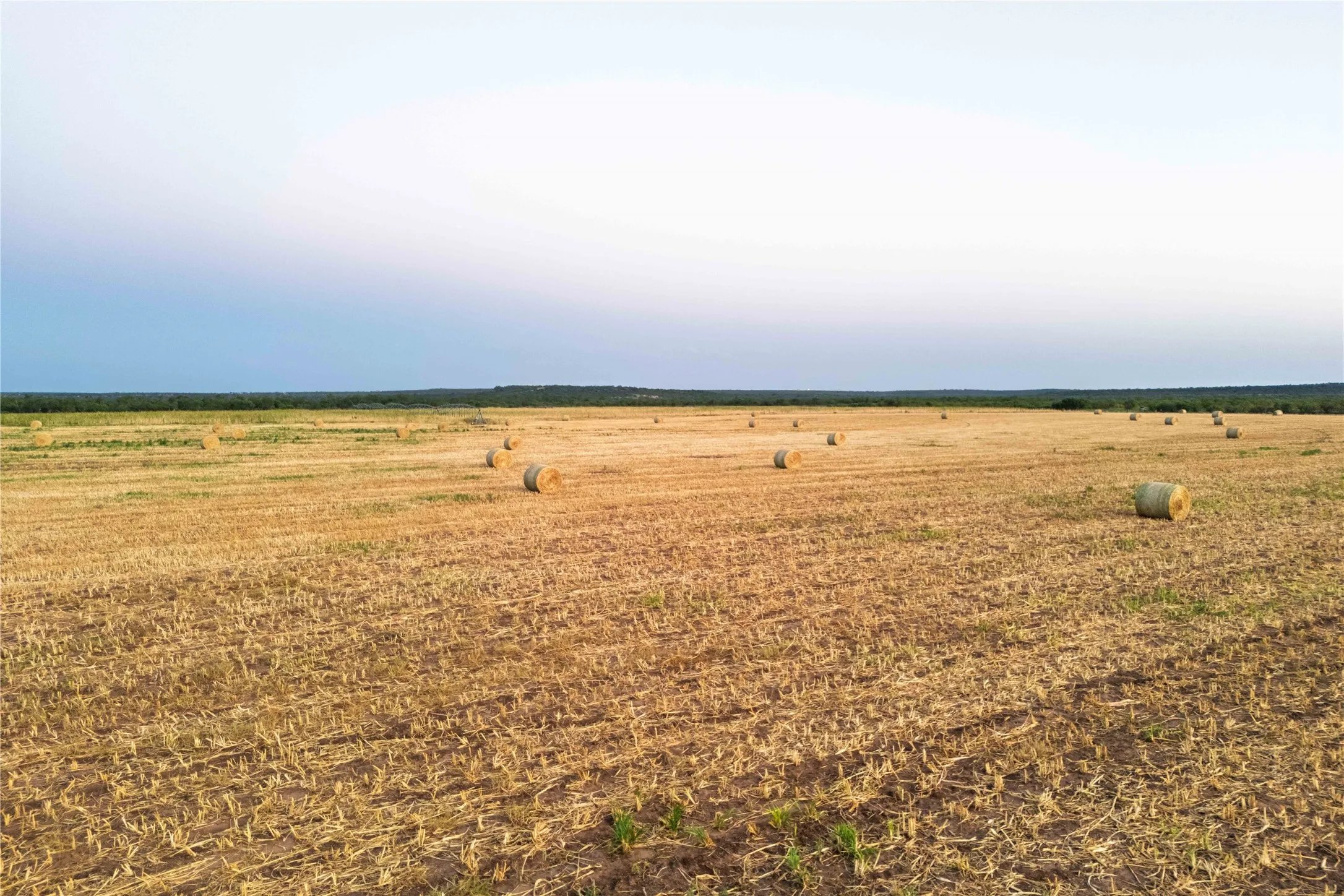 Ranch For Sale in Coleman County , 3638 County Road 312, Voss, Texas 76888, 0, 0, Garage spaces, 0 Sqft, built in 2014, mls#21383631, Real Estate Agent in Voss, Homes For Sale in Coleman county, Homes For Sale in Voss, Realtor in Voss Texas, Real Estate Brokerage Independent Realty Texas, Luminita Cordes Realtor