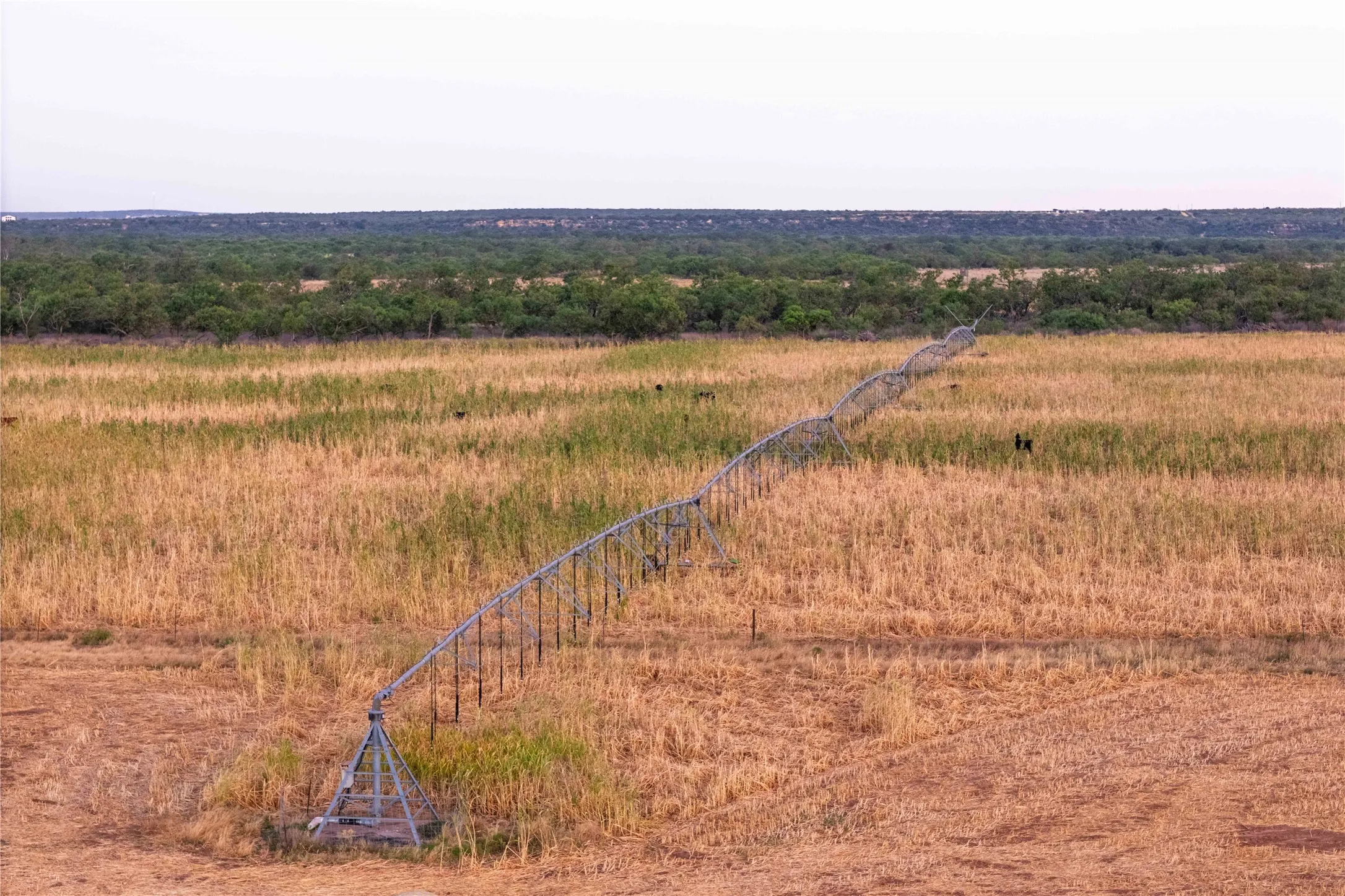 Ranch For Sale in Coleman County , 3638 County Road 312, Voss, Texas 76888, 0, 0, Garage spaces, 0 Sqft, built in 2014, mls#21383631, Real Estate Agent in Voss, Homes For Sale in Coleman county, Homes For Sale in Voss, Realtor in Voss Texas, Real Estate Brokerage Independent Realty Texas, Luminita Cordes Realtor