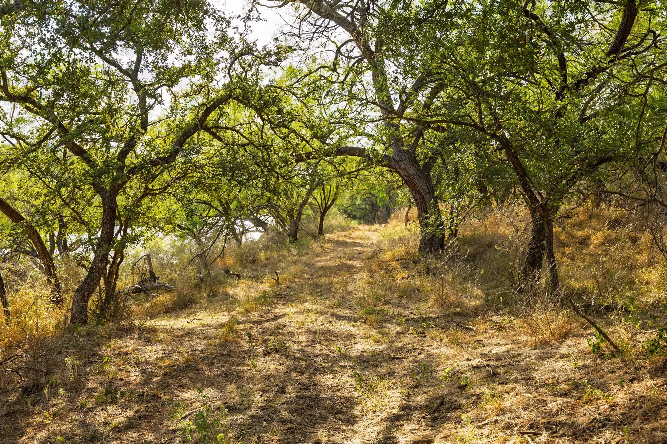 Ranch For Sale in Coleman County , 3638 County Road 312, Voss, Texas 76888, 0, 0, Garage spaces, 0 Sqft, built in 2014, mls#21383631, Real Estate Agent in Voss, Homes For Sale in Coleman county, Homes For Sale in Voss, Realtor in Voss Texas, Real Estate Brokerage Independent Realty Texas, Luminita Cordes Realtor
