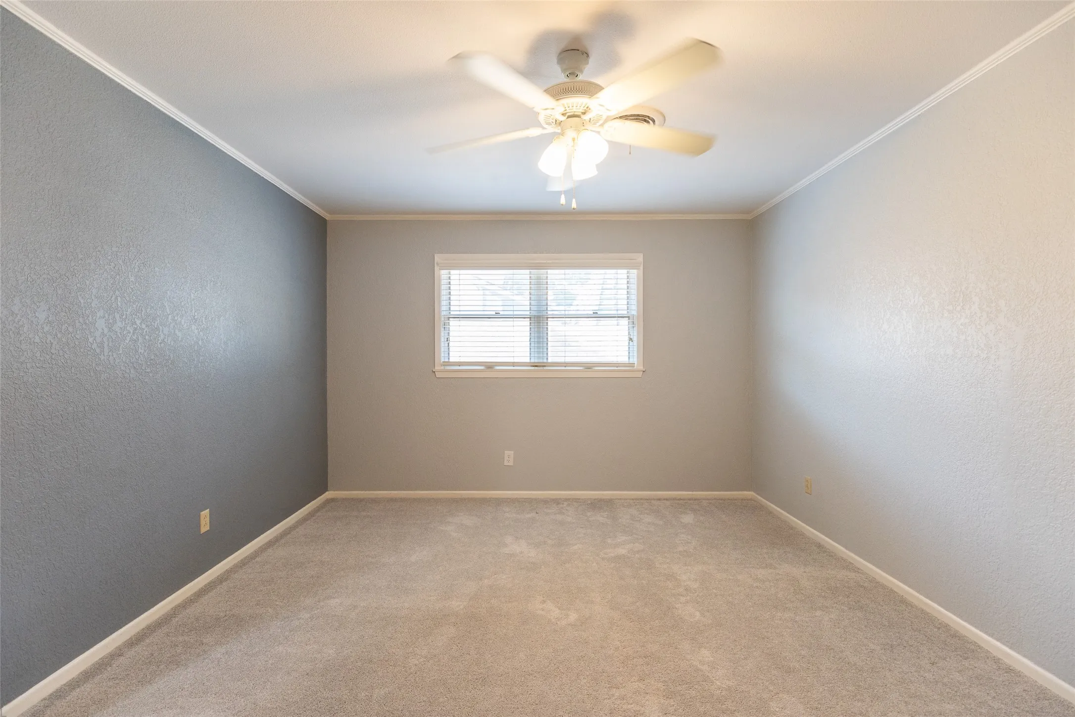 Neutral tone wall finishes with an accent wall, window with blinds, ceiling fan with integrated lighting, and carpeted flooring