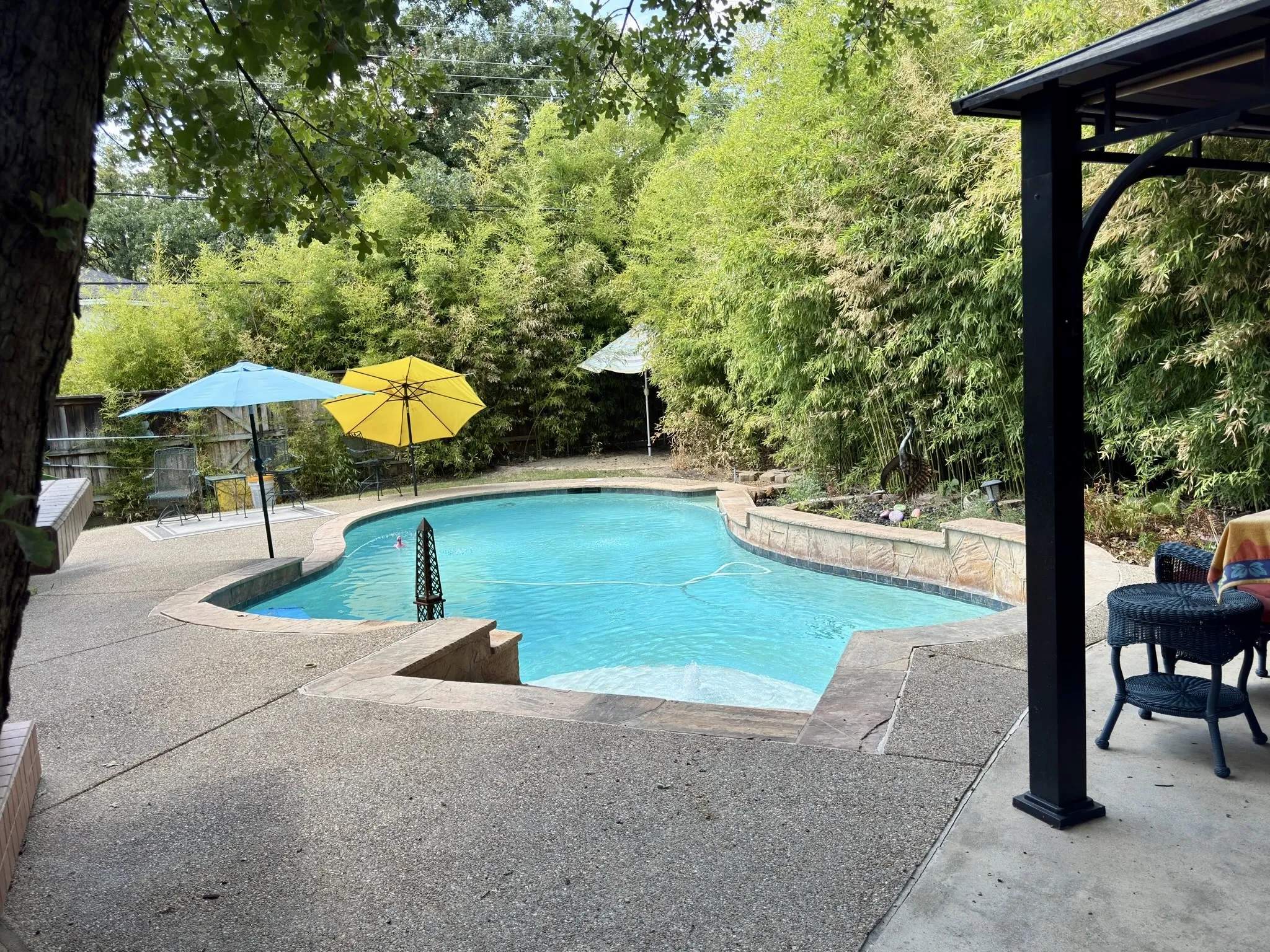 Salt water pool with large entrance shelf, complete privacy feel with the bamboo.
