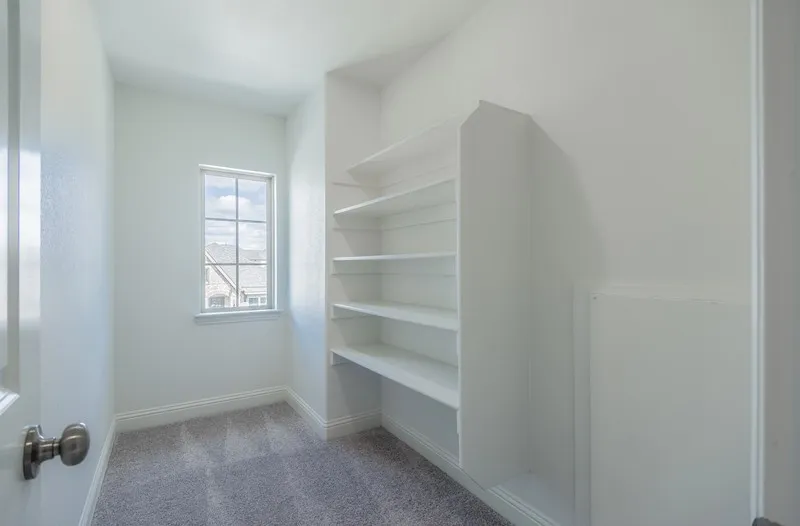 Built-in shelving, gray carpet, white baseboards, and a framed window