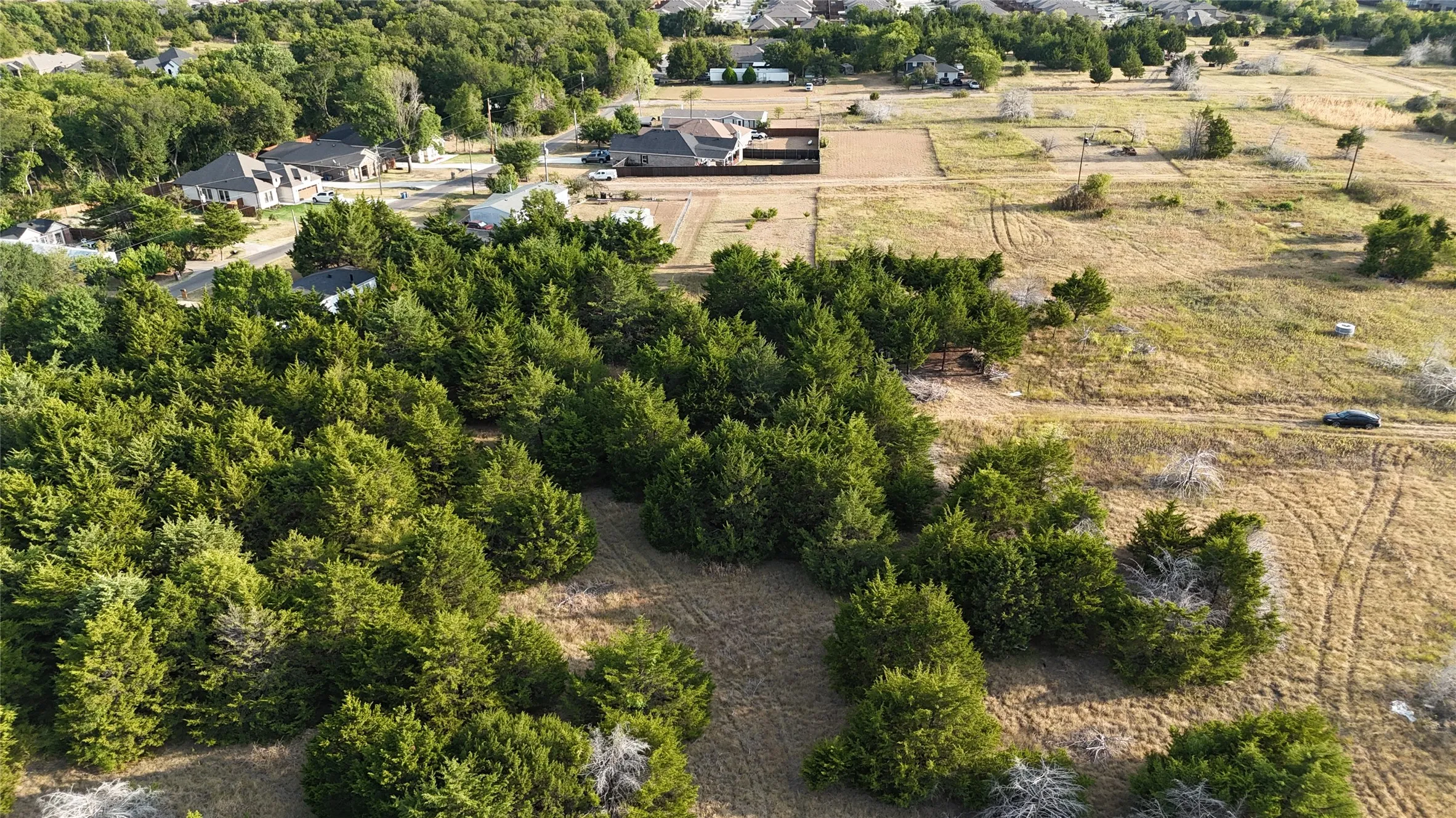 Expansive land parcel featuring dense evergreen tree coverage and open clearings
