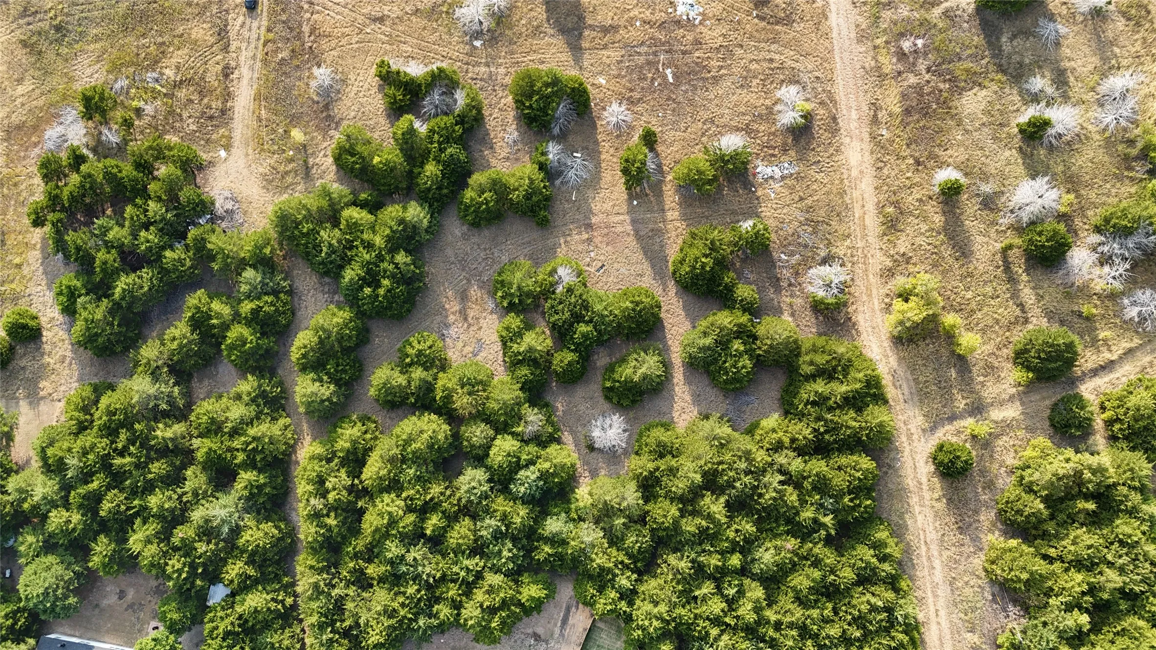 Vast undeveloped land featuring natural terrain and abundant mature trees