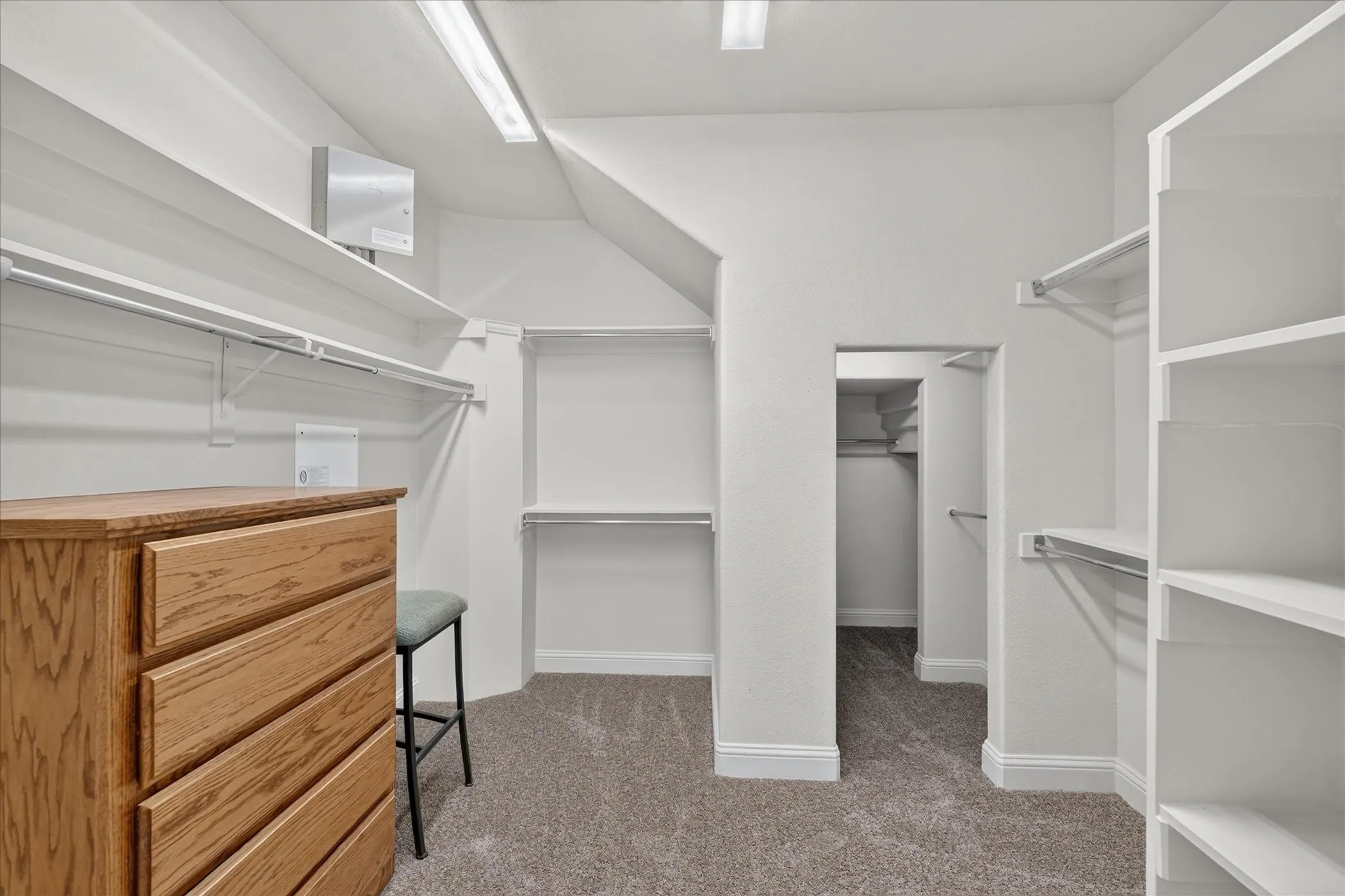 Spacious walk-in closet with carpet flooring, white shelving, and hanging rods