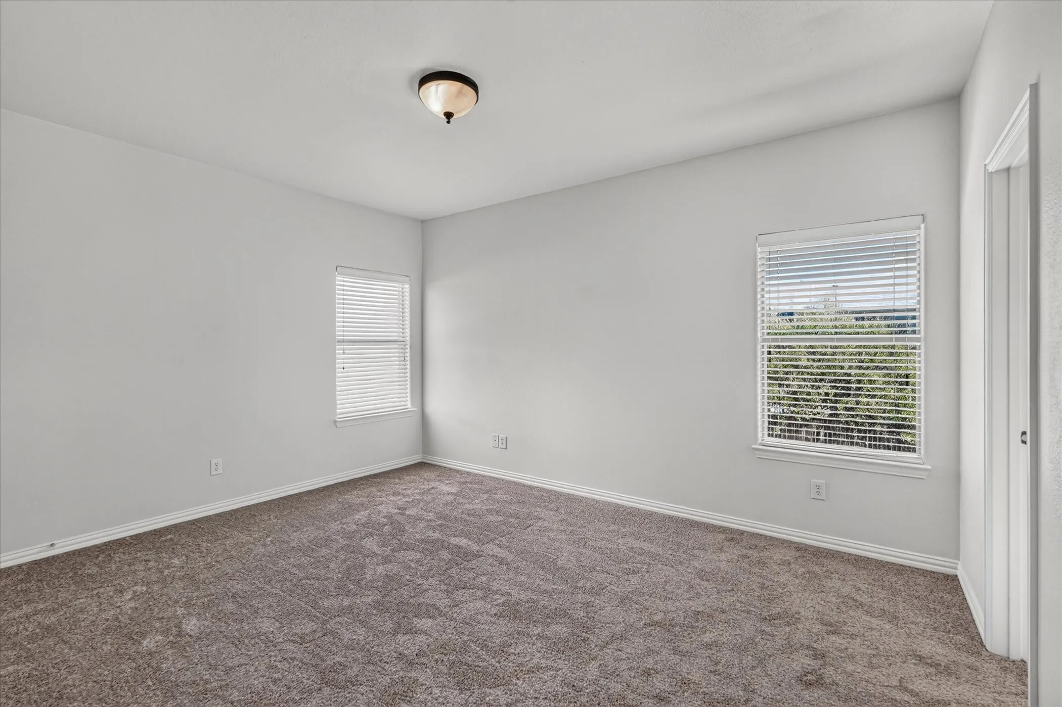 Neutral wall paint, two windows with blinds, ceiling-mounted light fixture, and carpet flooring