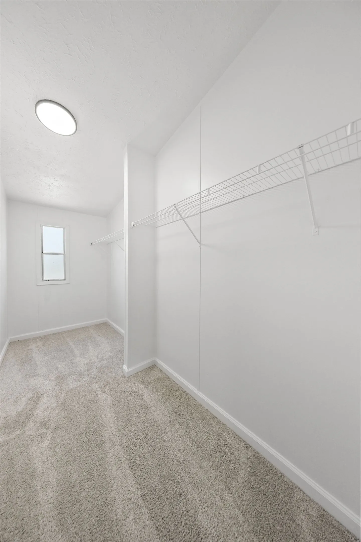Carpeted flooring, wire shelving, ceiling-mounted light fixture, and a window for natural illumination