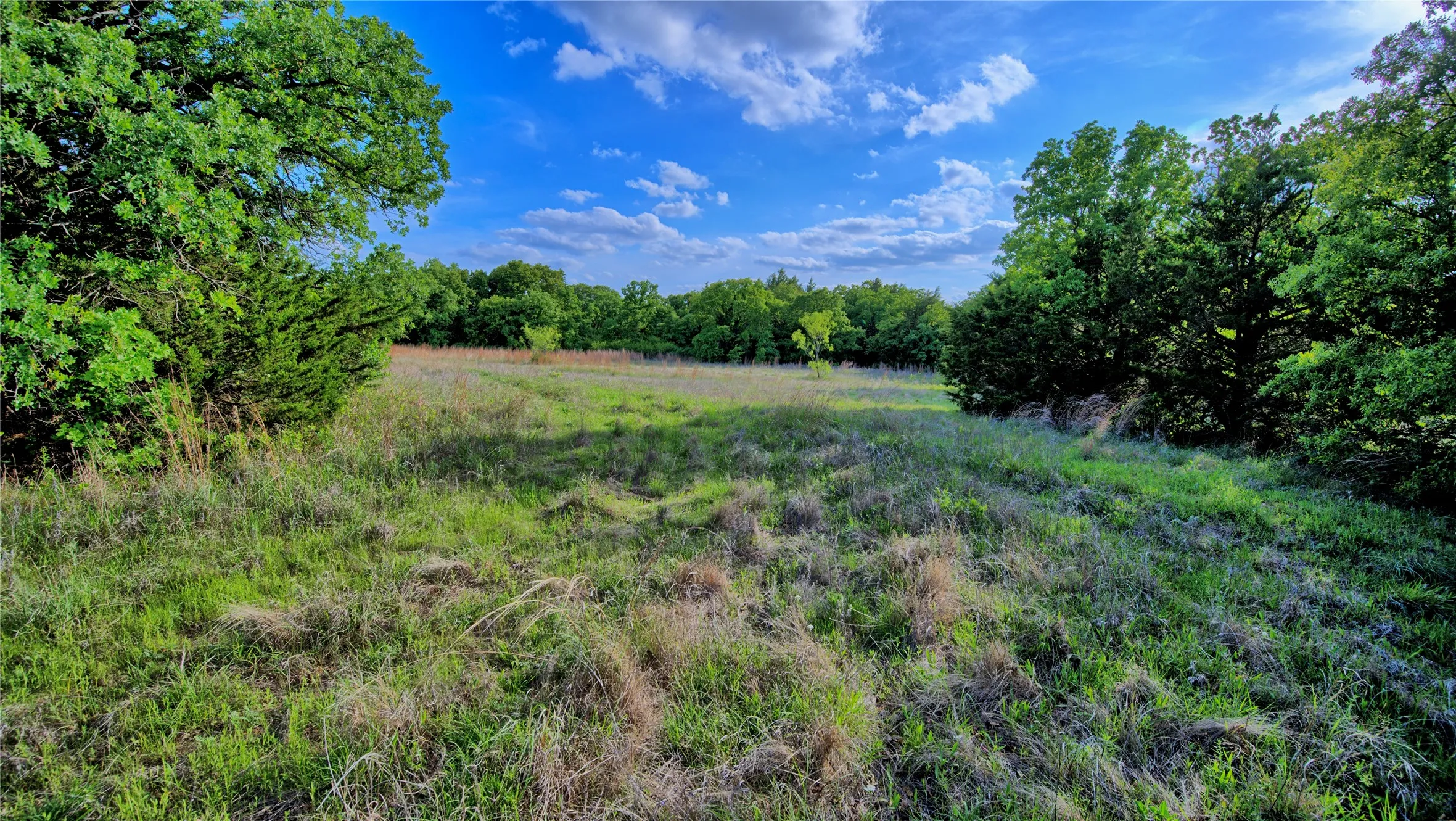 Farm For Sale in Montague County , 3952 Lake Valley Rd, Sunset, Texas 76270, 0, 0, Garage spaces, 0 Sqft, built in 2026, mls#21383725, Real Estate Agent in Sunset, Homes For Sale in Montague county, Homes For Sale in Sunset, Realtor in Sunset Texas, Real Estate Brokerage Independent Realty Texas, Luminita Cordes Realtor