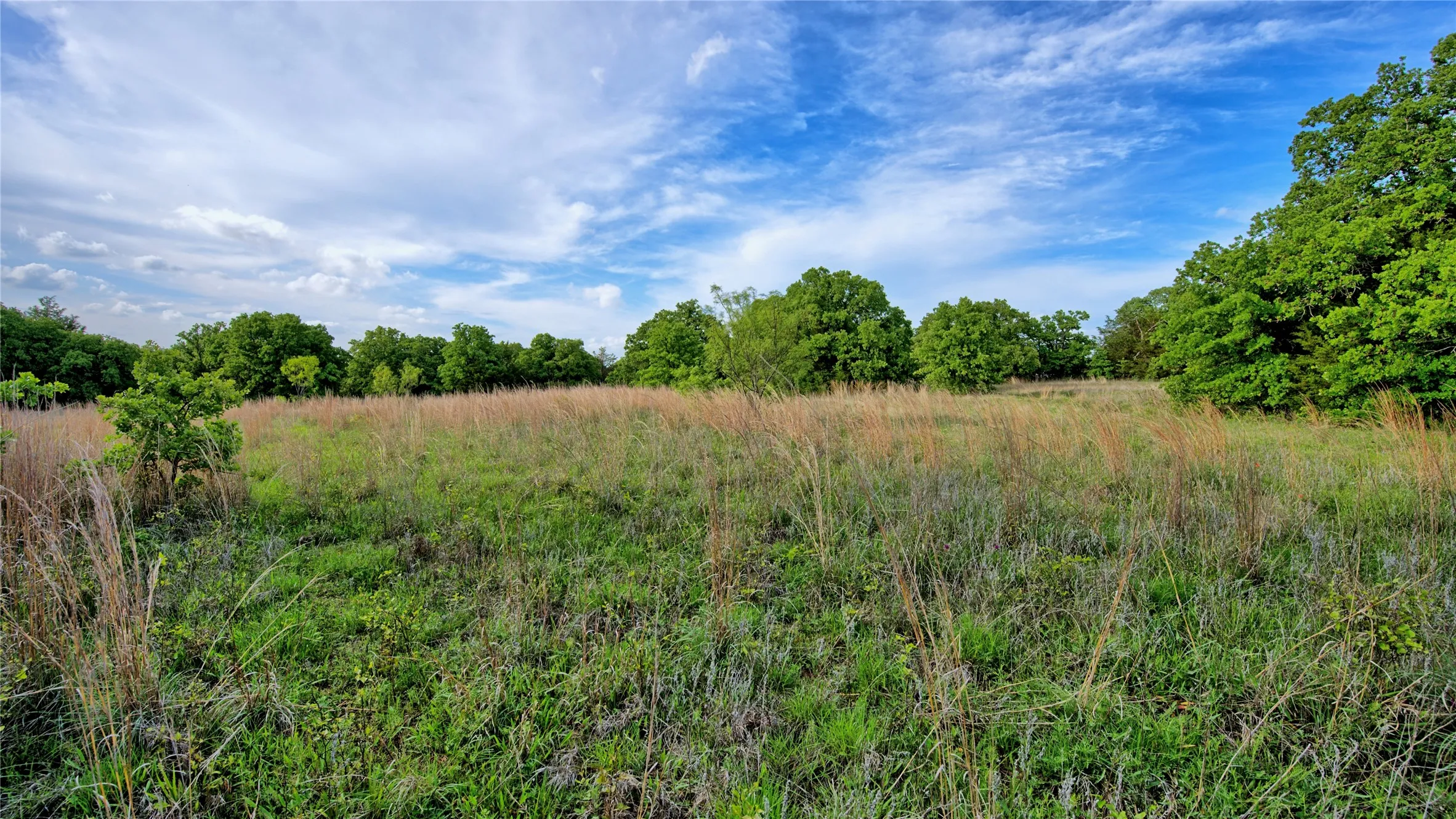 Farm For Sale in Montague County , 3952 Lake Valley Rd, Sunset, Texas 76270, 0, 0, Garage spaces, 0 Sqft, built in 2026, mls#21383725, Real Estate Agent in Sunset, Homes For Sale in Montague county, Homes For Sale in Sunset, Realtor in Sunset Texas, Real Estate Brokerage Independent Realty Texas, Luminita Cordes Realtor
