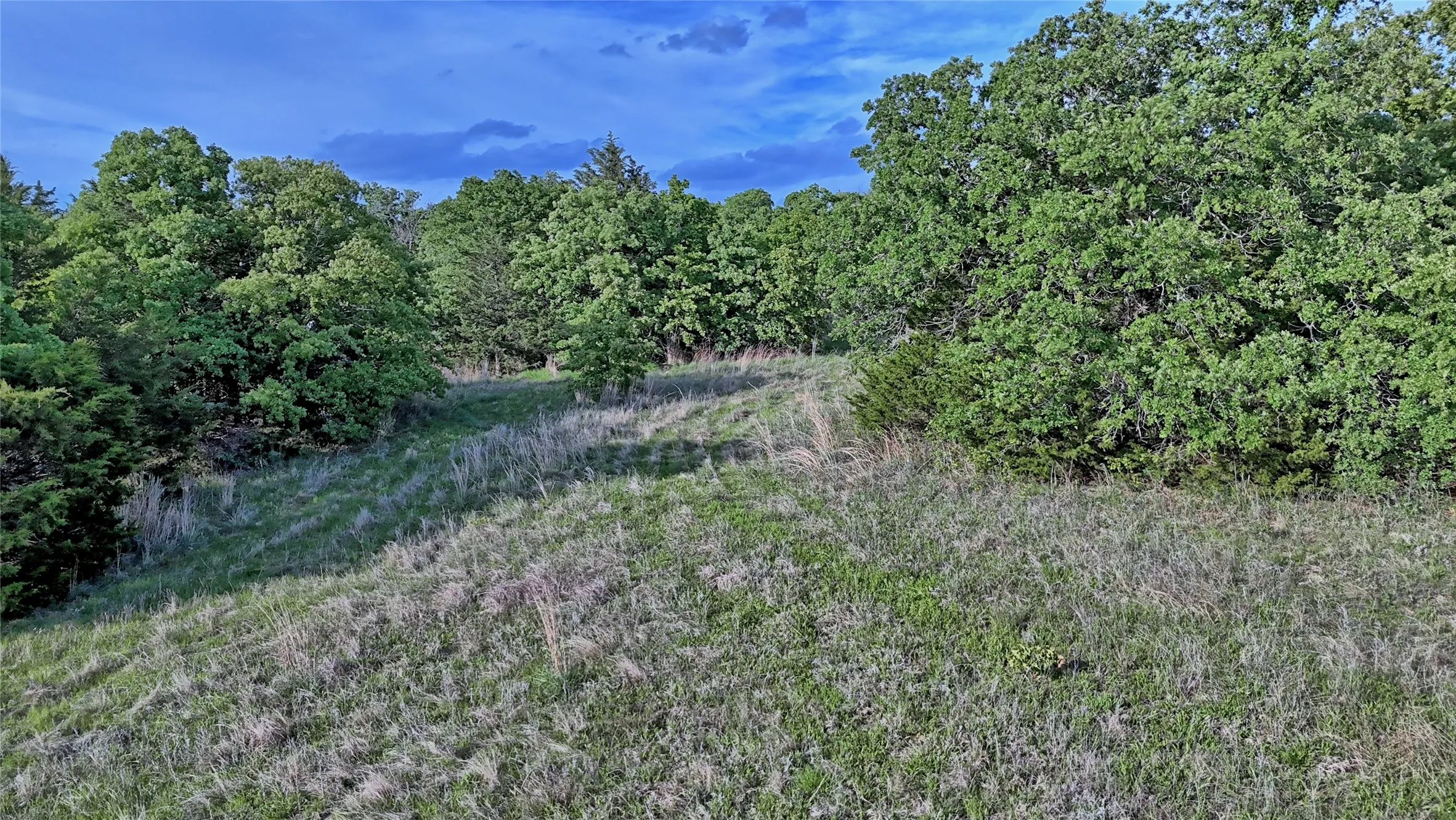 Farm For Sale in Montague County , 3952 Lake Valley Rd, Sunset, Texas 76270, 0, 0, Garage spaces, 0 Sqft, built in 2026, mls#21383725, Real Estate Agent in Sunset, Homes For Sale in Montague county, Homes For Sale in Sunset, Realtor in Sunset Texas, Real Estate Brokerage Independent Realty Texas, Luminita Cordes Realtor
