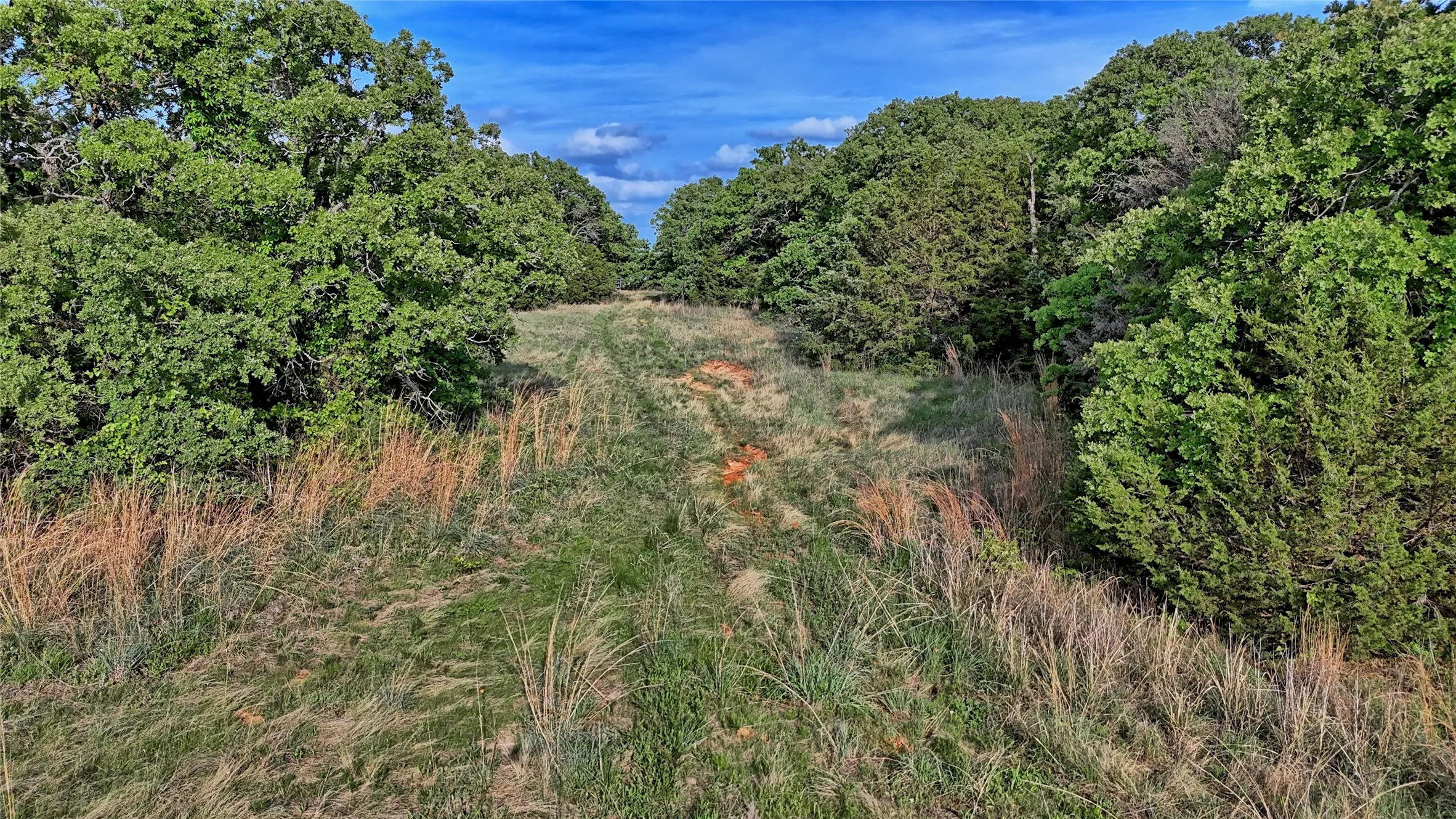 Farm For Sale in Montague County , 3952 Lake Valley Rd, Sunset, Texas 76270, 0, 0, Garage spaces, 0 Sqft, built in 2026, mls#21383725, Real Estate Agent in Sunset, Homes For Sale in Montague county, Homes For Sale in Sunset, Realtor in Sunset Texas, Real Estate Brokerage Independent Realty Texas, Luminita Cordes Realtor