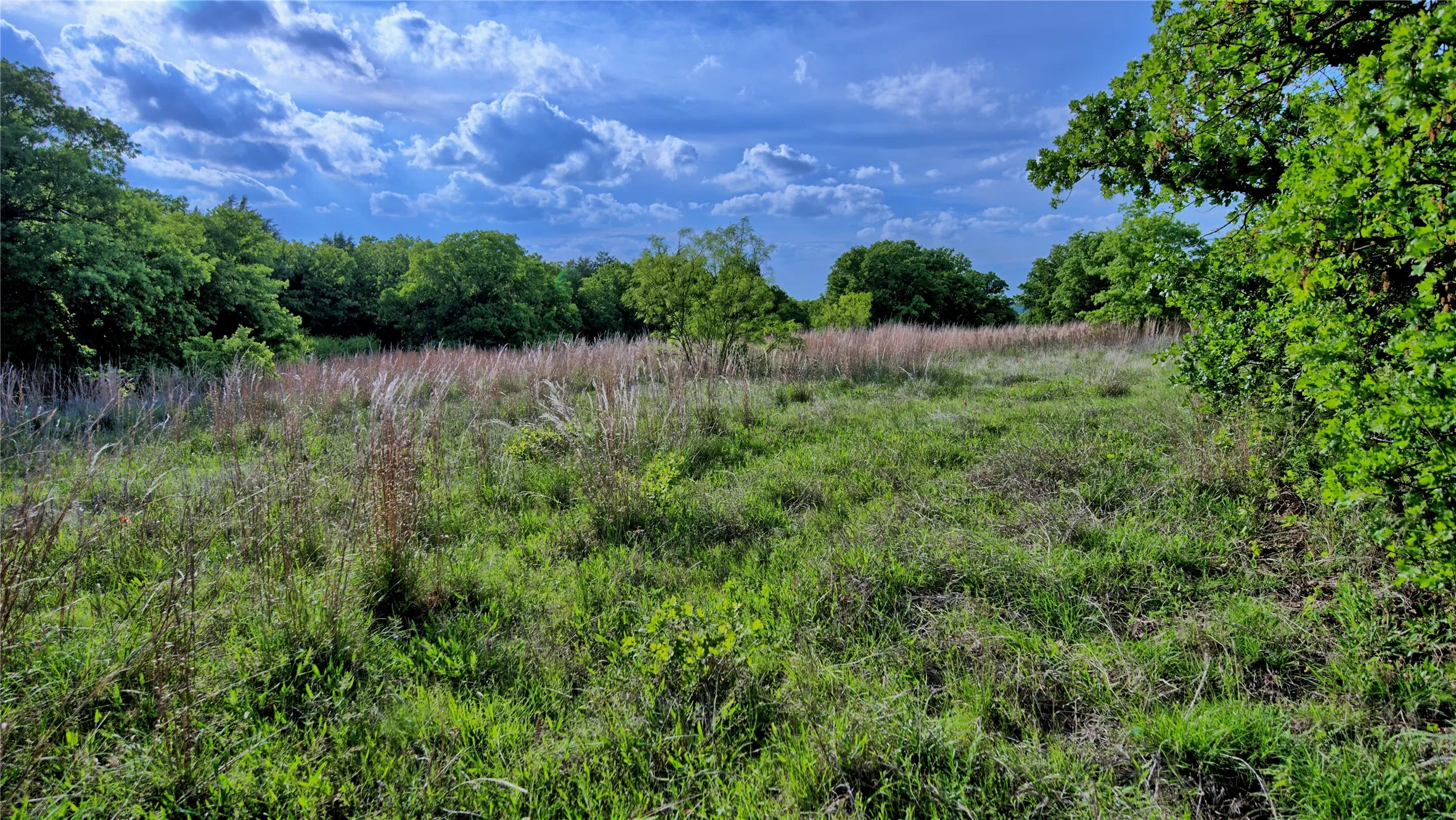 Farm For Sale in Montague County , 3952 Lake Valley Rd, Sunset, Texas 76270, 0, 0, Garage spaces, 0 Sqft, built in 2026, mls#21383725, Real Estate Agent in Sunset, Homes For Sale in Montague county, Homes For Sale in Sunset, Realtor in Sunset Texas, Real Estate Brokerage Independent Realty Texas, Luminita Cordes Realtor