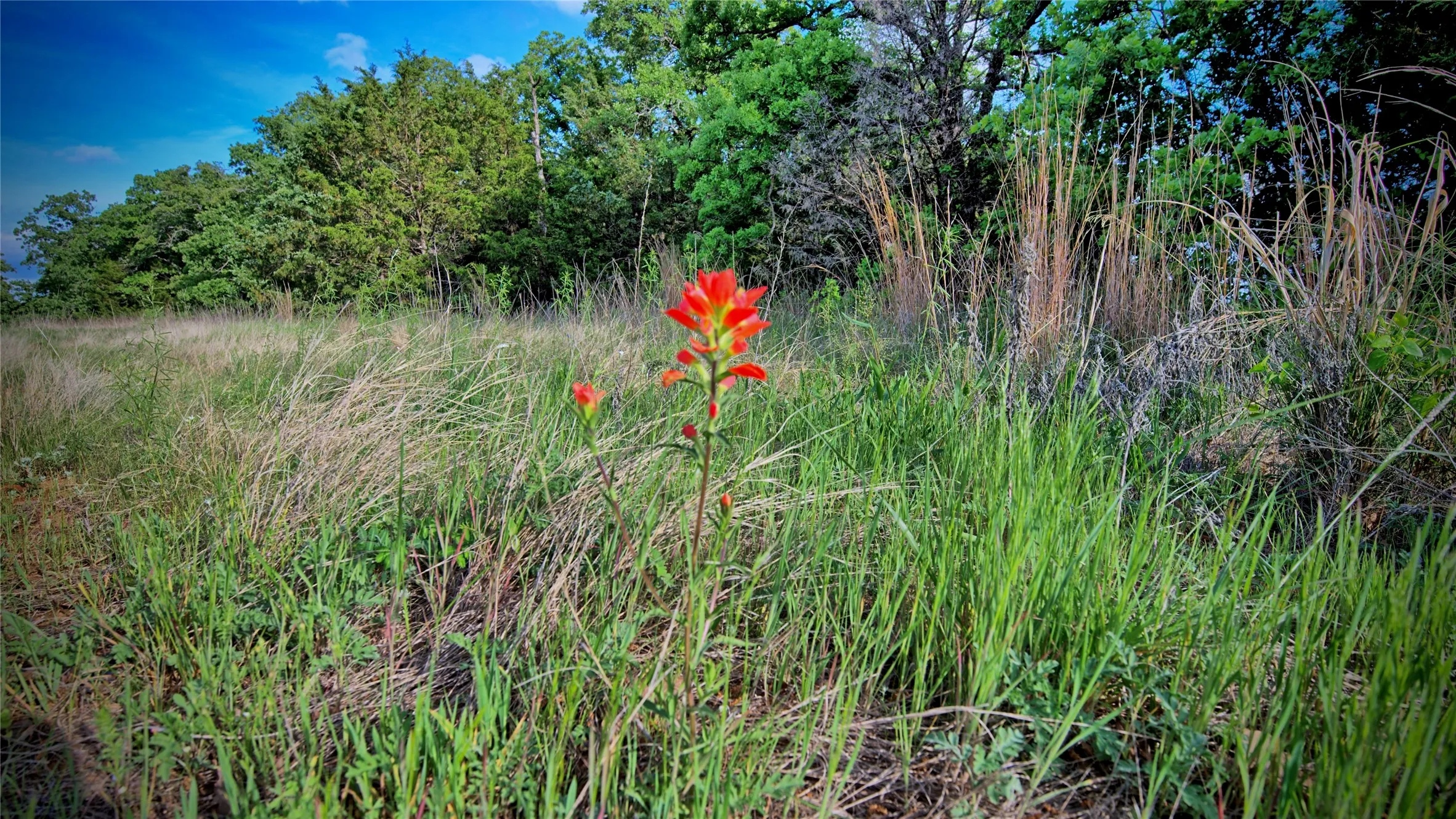 Farm For Sale in Montague County , 3952 Lake Valley Rd, Sunset, Texas 76270, 0, 0, Garage spaces, 0 Sqft, built in 2026, mls#21383725, Real Estate Agent in Sunset, Homes For Sale in Montague county, Homes For Sale in Sunset, Realtor in Sunset Texas, Real Estate Brokerage Independent Realty Texas, Luminita Cordes Realtor