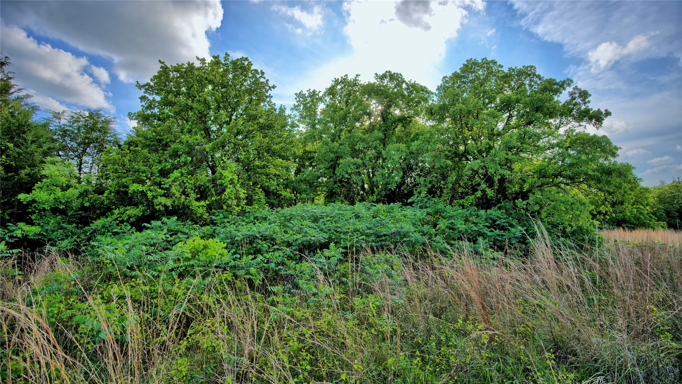 Farm For Sale in Montague County , 3952 Lake Valley Rd, Sunset, Texas 76270, 0, 0, Garage spaces, 0 Sqft, built in 2026, mls#21383725, Real Estate Agent in Sunset, Homes For Sale in Montague county, Homes For Sale in Sunset, Realtor in Sunset Texas, Real Estate Brokerage Independent Realty Texas, Luminita Cordes Realtor