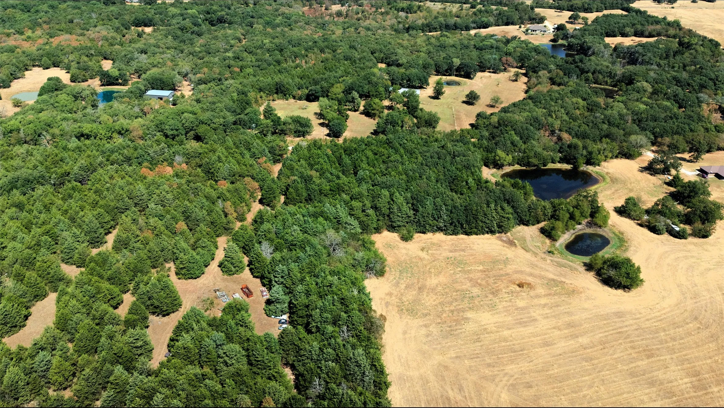 Unimproved Land For Sale in Fannin County , 2460 County Road 1220, Savoy, Texas 75479, 0, 0, Garage spaces, 0 Sqft, built in 0, mls#21383374, Real Estate Agent in Savoy, Homes For Sale in Fannin county, Homes For Sale in Savoy, Realtor in Savoy Texas, Real Estate Brokerage Independent Realty Texas, Luminita Cordes Realtor