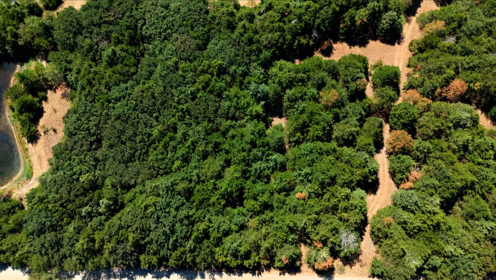 Unimproved Land For Sale in Fannin County , 2460 County Road 1220, Savoy, Texas 75479, 0, 0, Garage spaces, 0 Sqft, built in 0, mls#21383374, Real Estate Agent in Savoy, Homes For Sale in Fannin county, Homes For Sale in Savoy, Realtor in Savoy Texas, Real Estate Brokerage Independent Realty Texas, Luminita Cordes Realtor