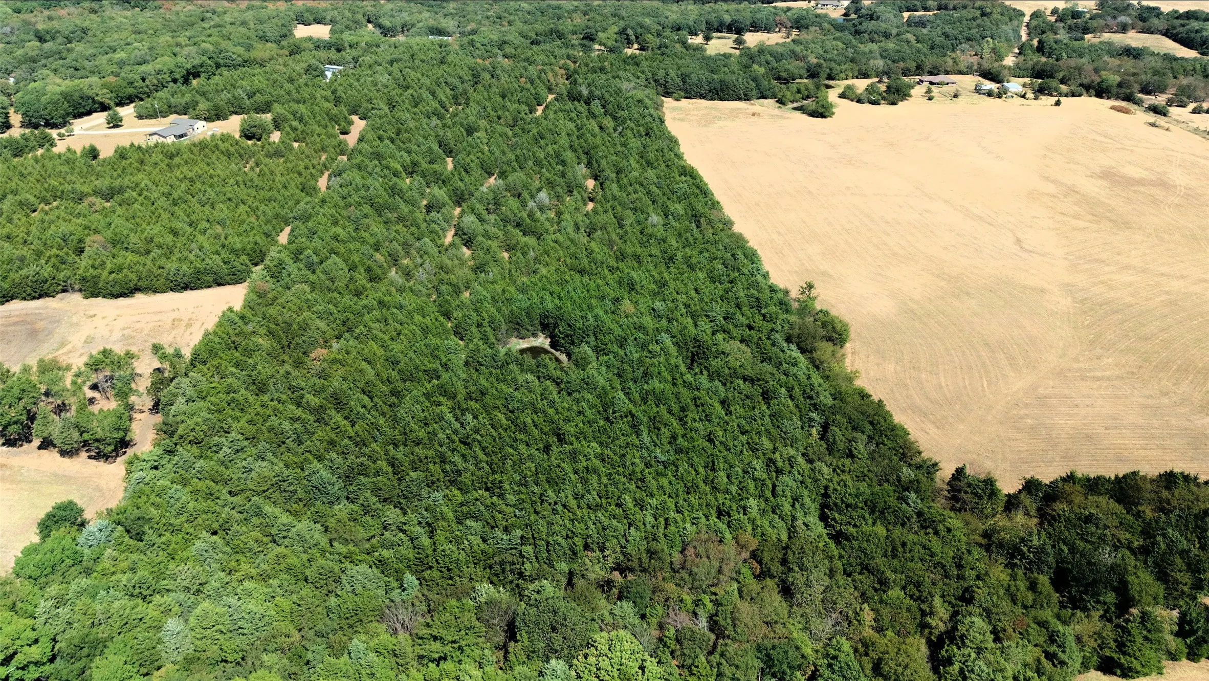 Unimproved Land For Sale in Fannin County , 2460 County Road 1220, Savoy, Texas 75479, 0, 0, Garage spaces, 0 Sqft, built in 0, mls#21383374, Real Estate Agent in Savoy, Homes For Sale in Fannin county, Homes For Sale in Savoy, Realtor in Savoy Texas, Real Estate Brokerage Independent Realty Texas, Luminita Cordes Realtor