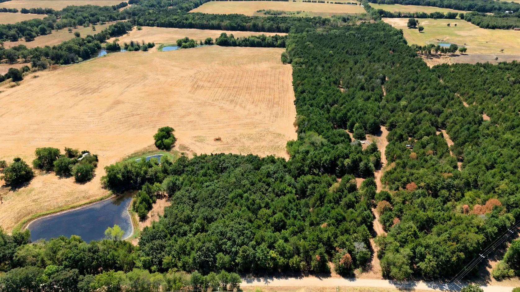 Unimproved Land For Sale in Fannin County , 2460 County Road 1220, Savoy, Texas 75479, 0, 0, Garage spaces, 0 Sqft, built in 0, mls#21383374, Real Estate Agent in Savoy, Homes For Sale in Fannin county, Homes For Sale in Savoy, Realtor in Savoy Texas, Real Estate Brokerage Independent Realty Texas, Luminita Cordes Realtor