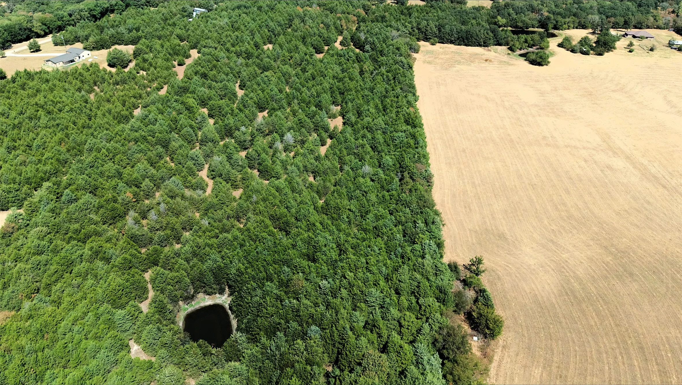 Unimproved Land For Sale in Fannin County , 2460 County Road 1220, Savoy, Texas 75479, 0, 0, Garage spaces, 0 Sqft, built in 0, mls#21383374, Real Estate Agent in Savoy, Homes For Sale in Fannin county, Homes For Sale in Savoy, Realtor in Savoy Texas, Real Estate Brokerage Independent Realty Texas, Luminita Cordes Realtor