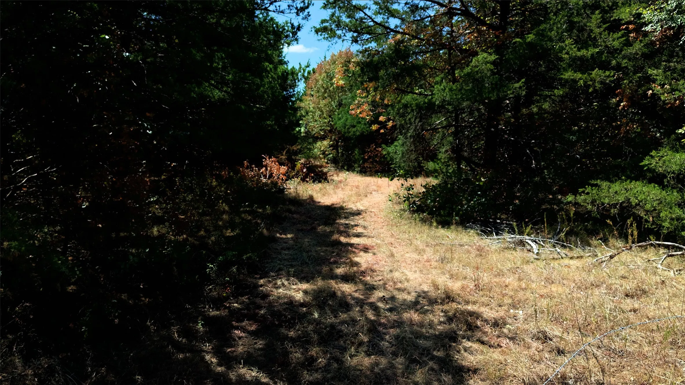 Unimproved Land For Sale in Fannin County , 2460 County Road 1220, Savoy, Texas 75479, 0, 0, Garage spaces, 0 Sqft, built in 0, mls#21383374, Real Estate Agent in Savoy, Homes For Sale in Fannin county, Homes For Sale in Savoy, Realtor in Savoy Texas, Real Estate Brokerage Independent Realty Texas, Luminita Cordes Realtor