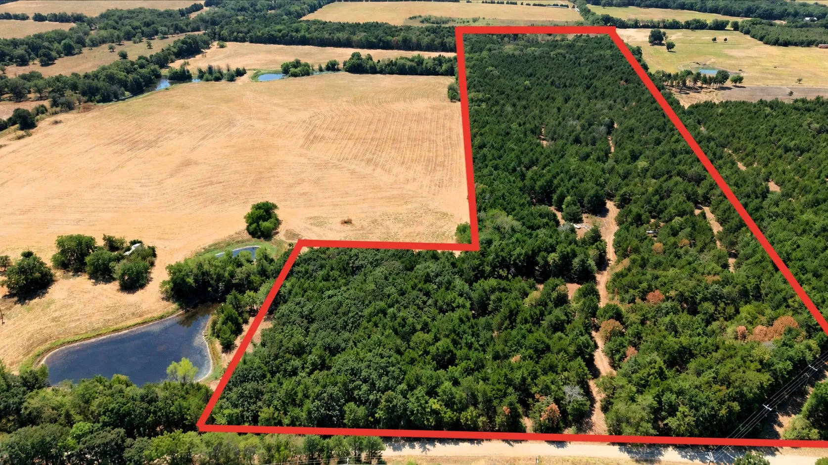 Unimproved Land For Sale in Fannin County , 2460 County Road 1220, Savoy, Texas 75479, 0, 0, Garage spaces, 0 Sqft, built in 0, mls#21383374, Real Estate Agent in Savoy, Homes For Sale in Fannin county, Homes For Sale in Savoy, Realtor in Savoy Texas, Real Estate Brokerage Independent Realty Texas, Luminita Cordes Realtor