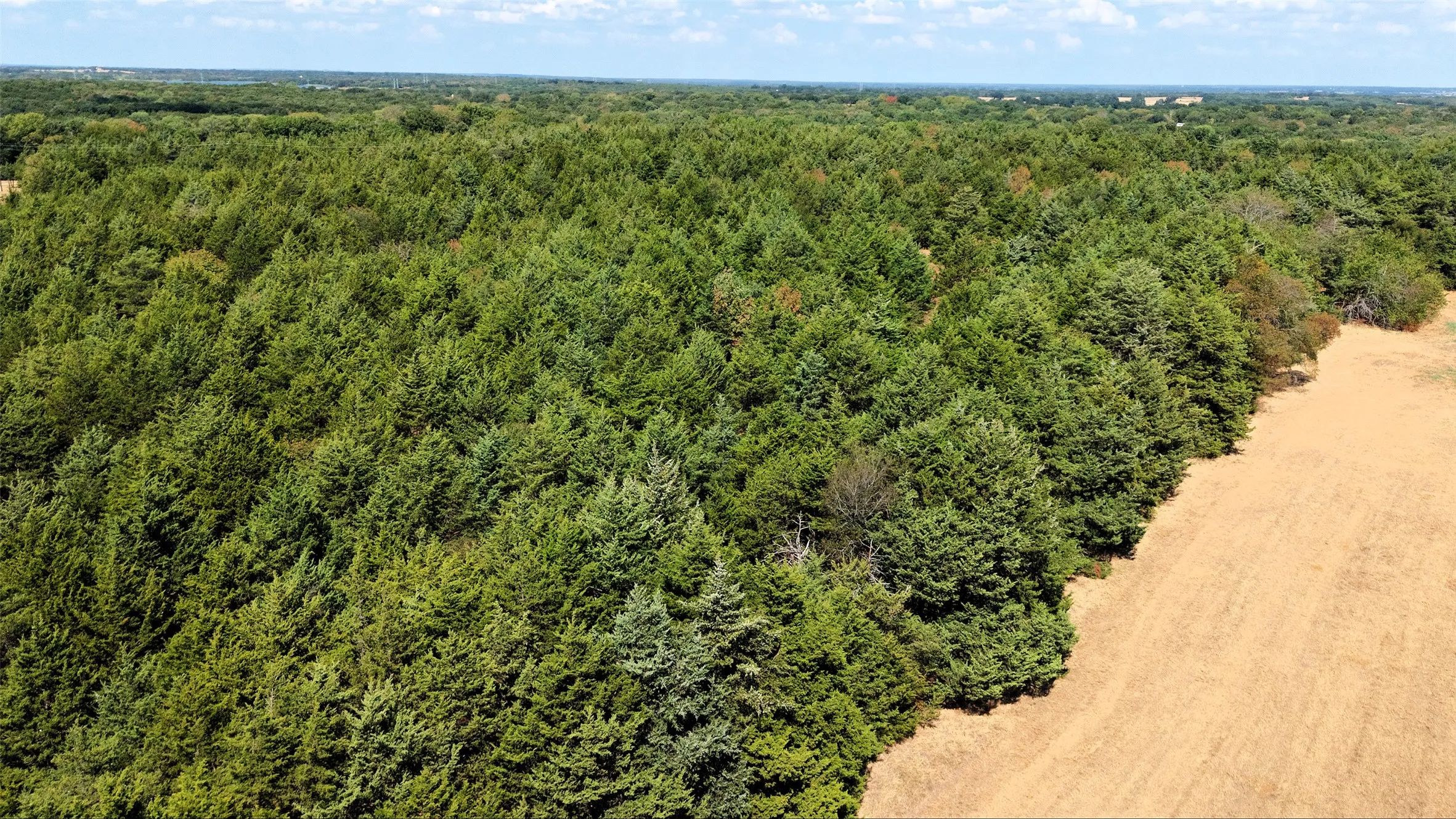 Unimproved Land For Sale in Fannin County , 2460 County Road 1220, Savoy, Texas 75479, 0, 0, Garage spaces, 0 Sqft, built in 0, mls#21383374, Real Estate Agent in Savoy, Homes For Sale in Fannin county, Homes For Sale in Savoy, Realtor in Savoy Texas, Real Estate Brokerage Independent Realty Texas, Luminita Cordes Realtor
