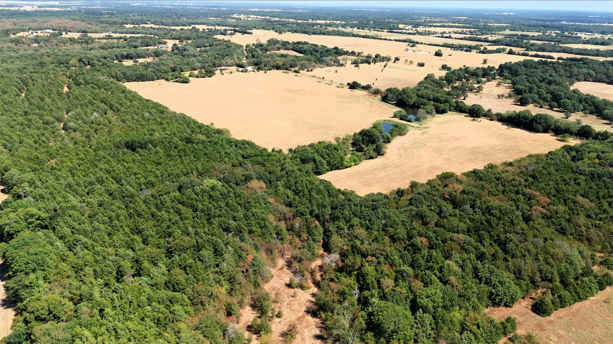 Unimproved Land For Sale in Fannin County , 2460 County Road 1220, Savoy, Texas 75479, 0, 0, Garage spaces, 0 Sqft, built in 0, mls#21383374, Real Estate Agent in Savoy, Homes For Sale in Fannin county, Homes For Sale in Savoy, Realtor in Savoy Texas, Real Estate Brokerage Independent Realty Texas, Luminita Cordes Realtor
