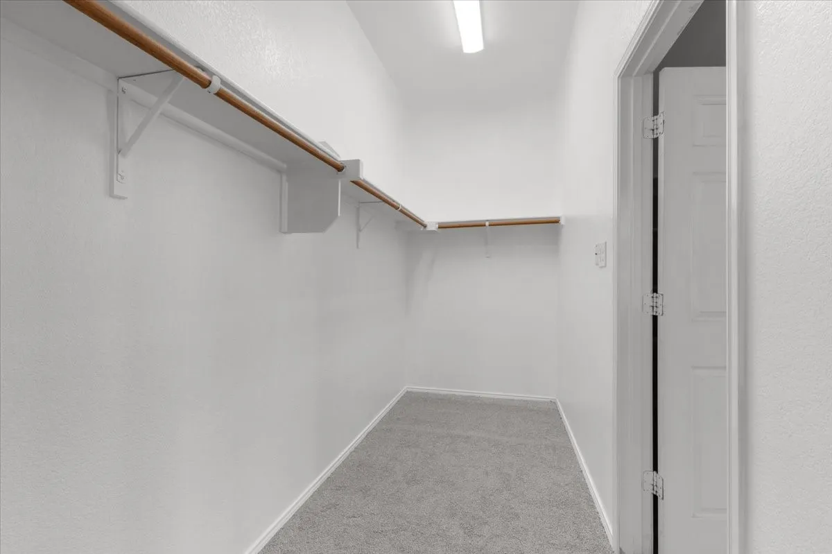 Walk-in closet with carpet flooring, white walls, and built-in shelving with hanging rods