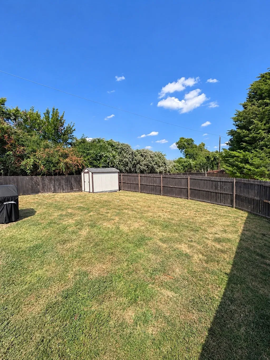 Expansive backyard space with a wood privacy fence and mature perimeter landscaping